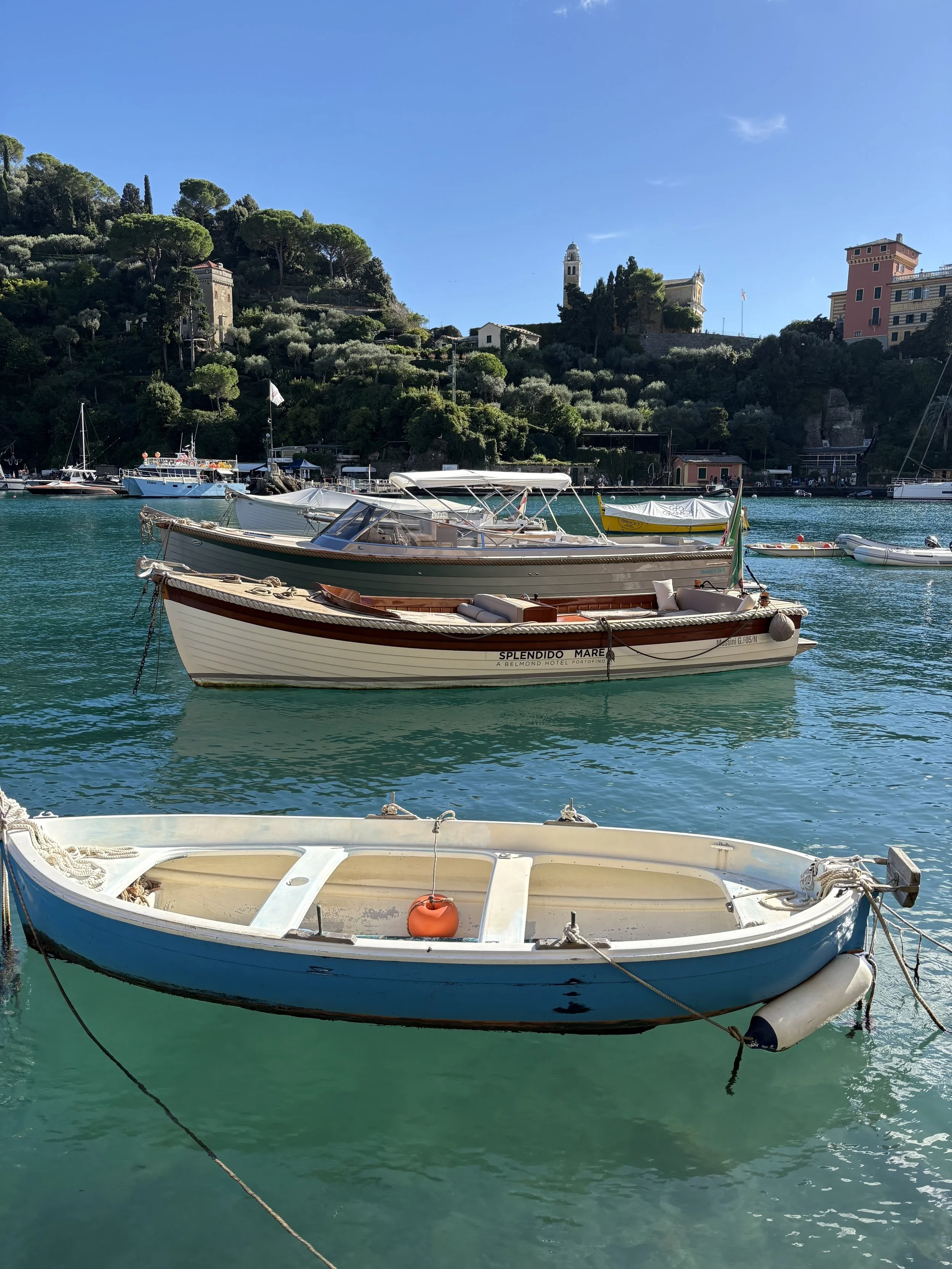 Boats docked in a harbor with a hillside in the background featuring trees and buildings, under a clear blue sky.