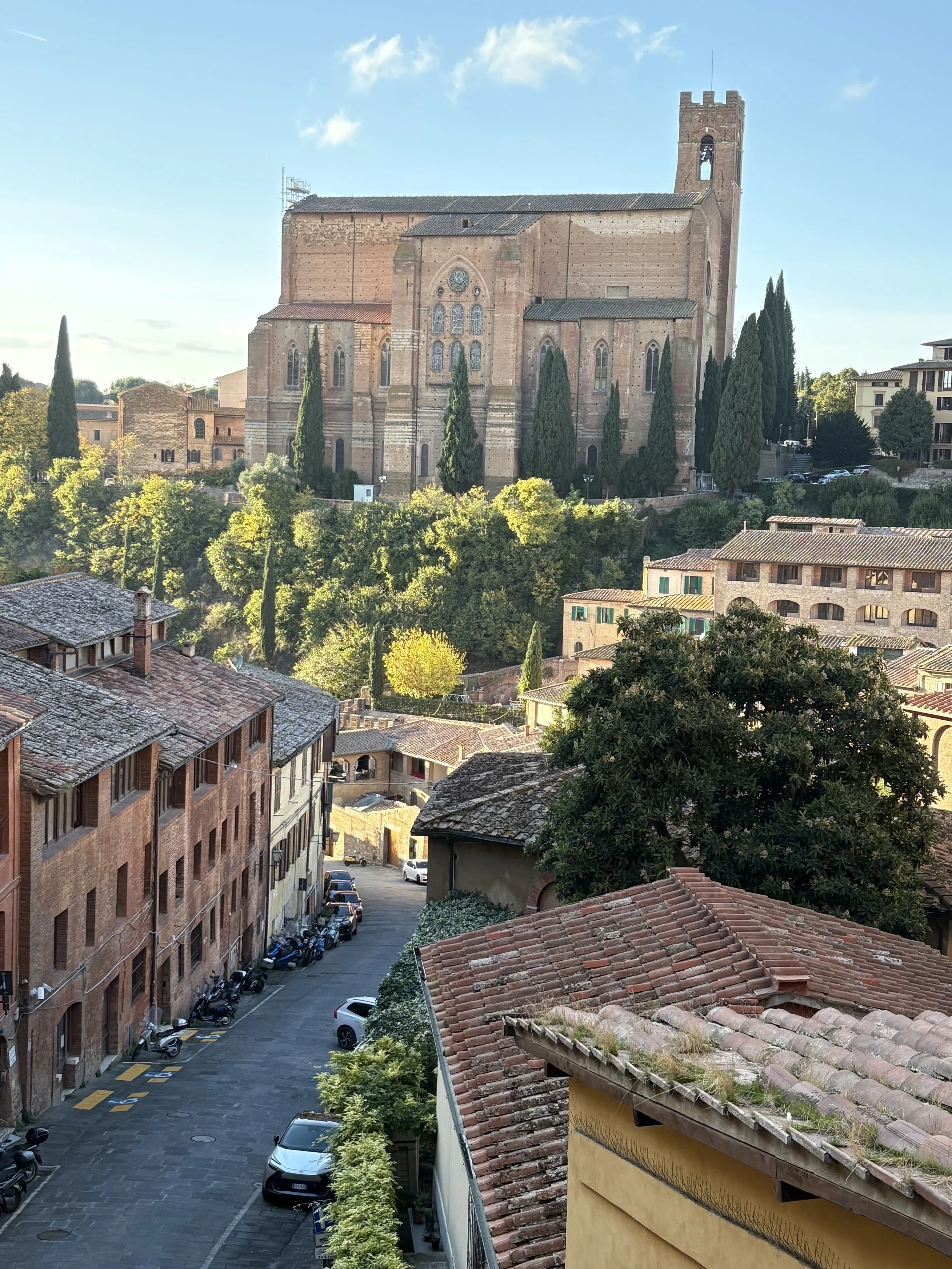 A large brick church or cathedral on a hill with tall cypress trees surrounding it, overlooking a residential street with tiled roofs, parked cars, and motorbikes, in a historic European town.