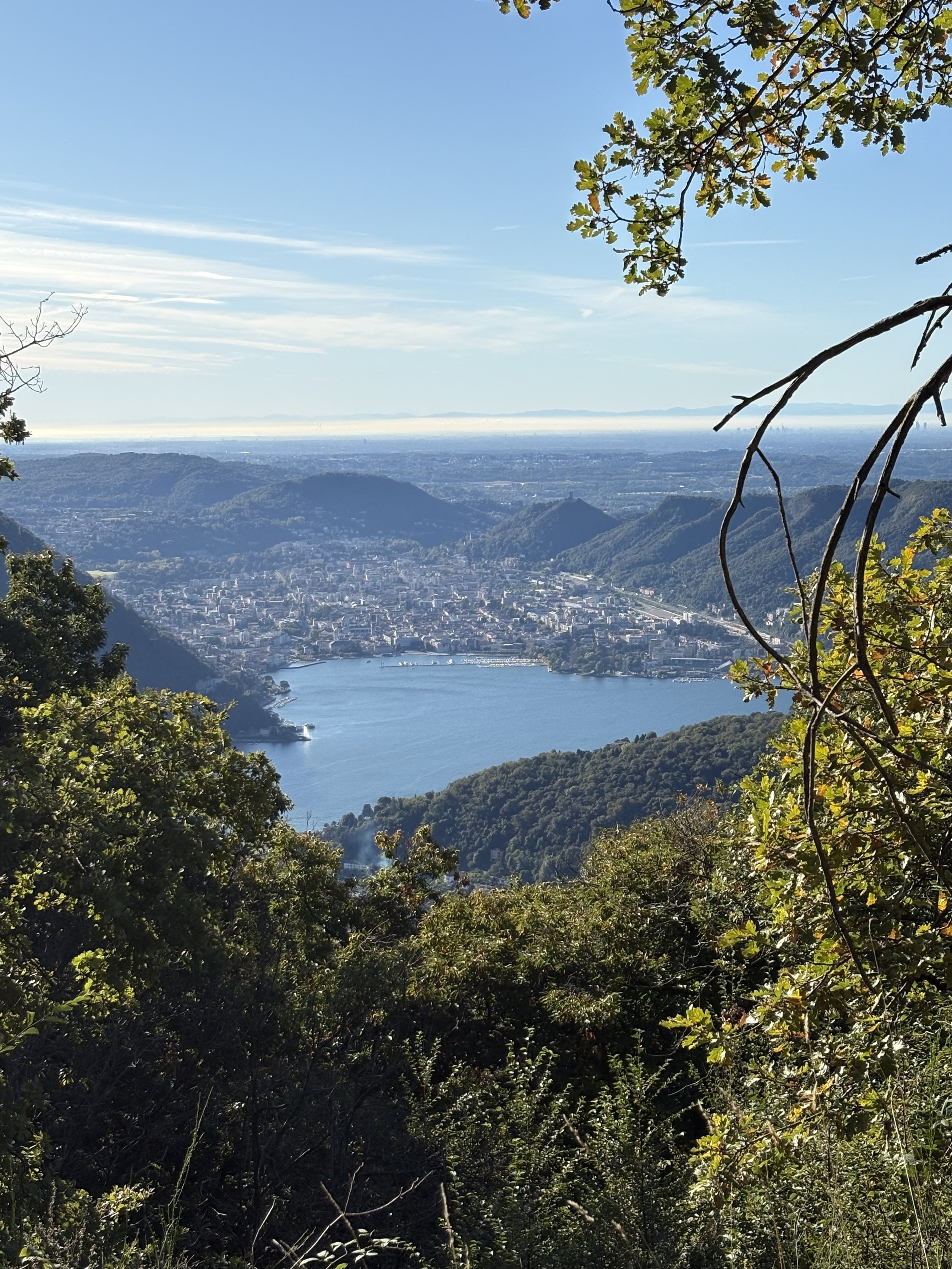 View of a city and a lake surrounded by mountains, seen from a forested hillside on a clear, sunny day.