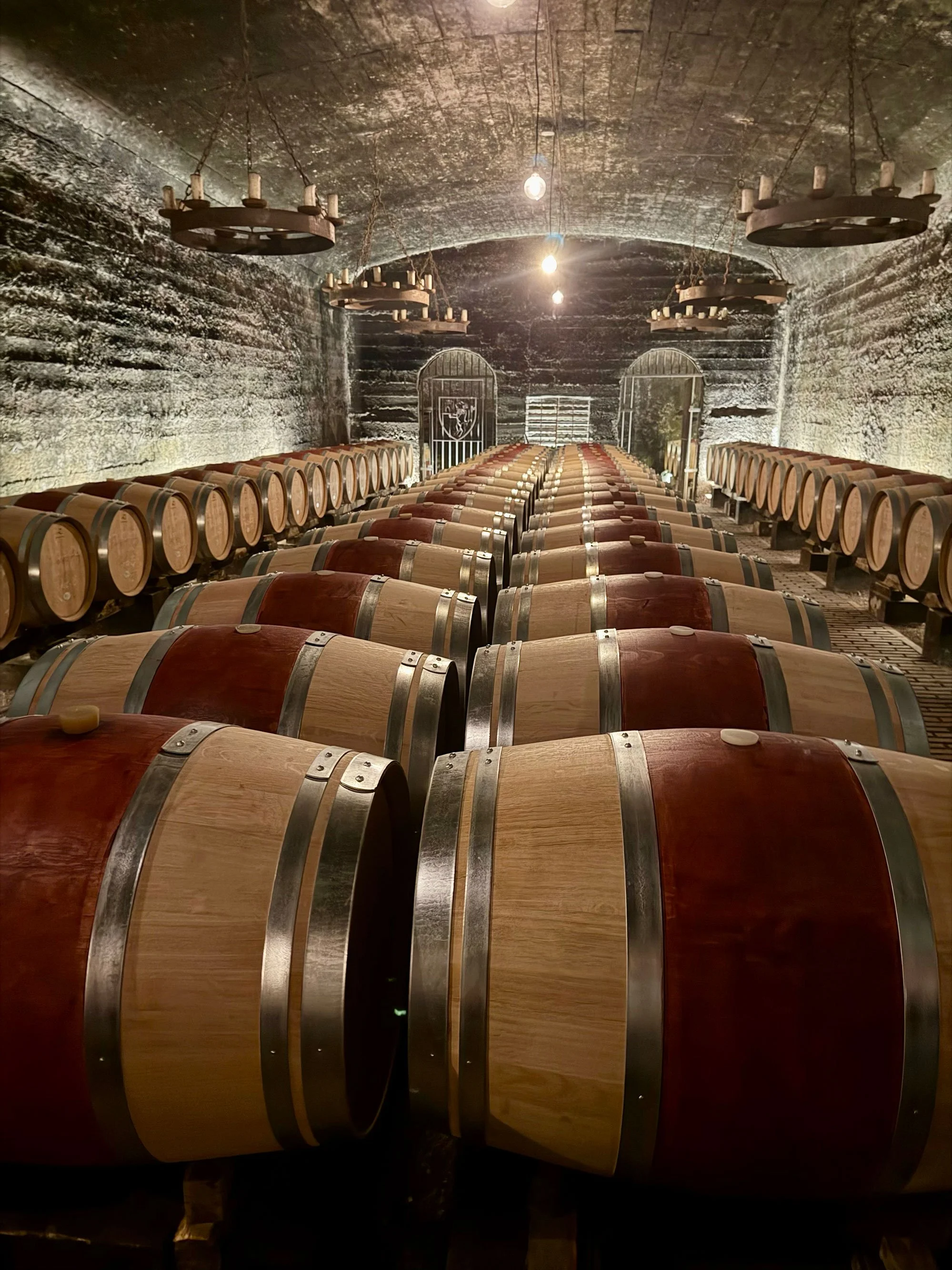 A cellar filled with wooden barrels, arranged in rows on both sides, with some barrels having a dark reddish finish and others a lighter natural wood color. The arched ceiling is dark and textured, with three large round chandeliers hanging from chai