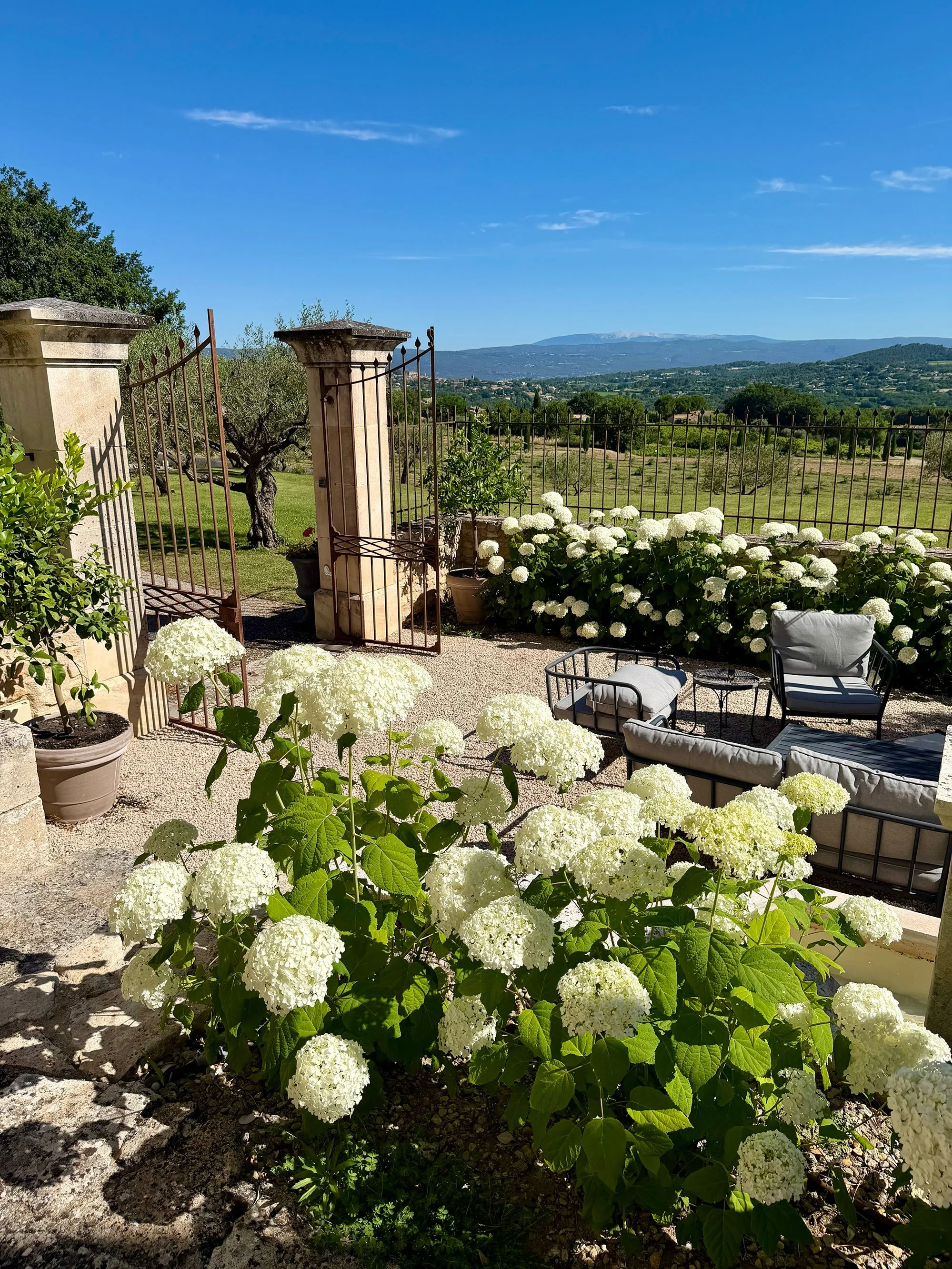 View of a garden with white hydrangea flowers, a black wrought iron gate, and a scenic landscape with mountains in the distance under a bright blue sky.
