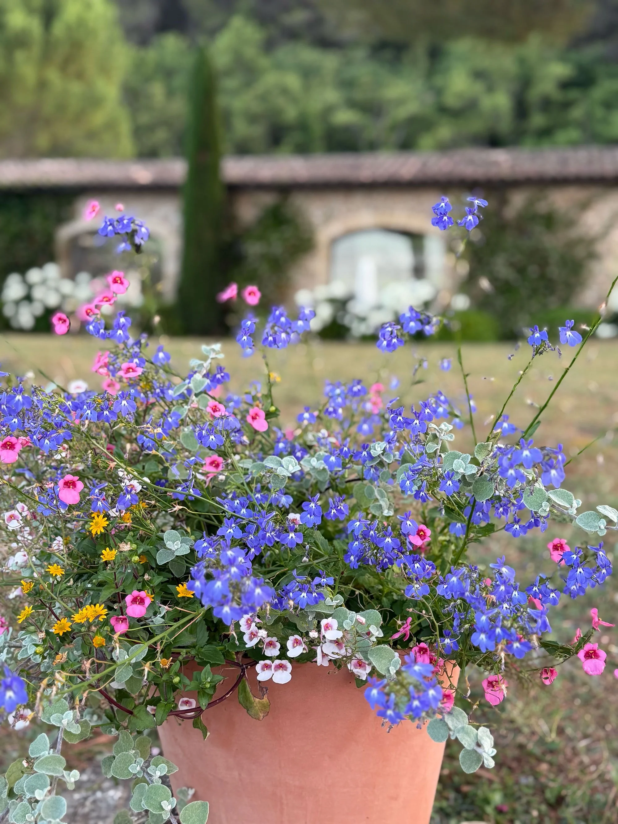 A terracotta pot filled with colorful flowering plants, including purple, pink, white, and yellow flowers, set outdoors with green trees and a stone bridge in the background.