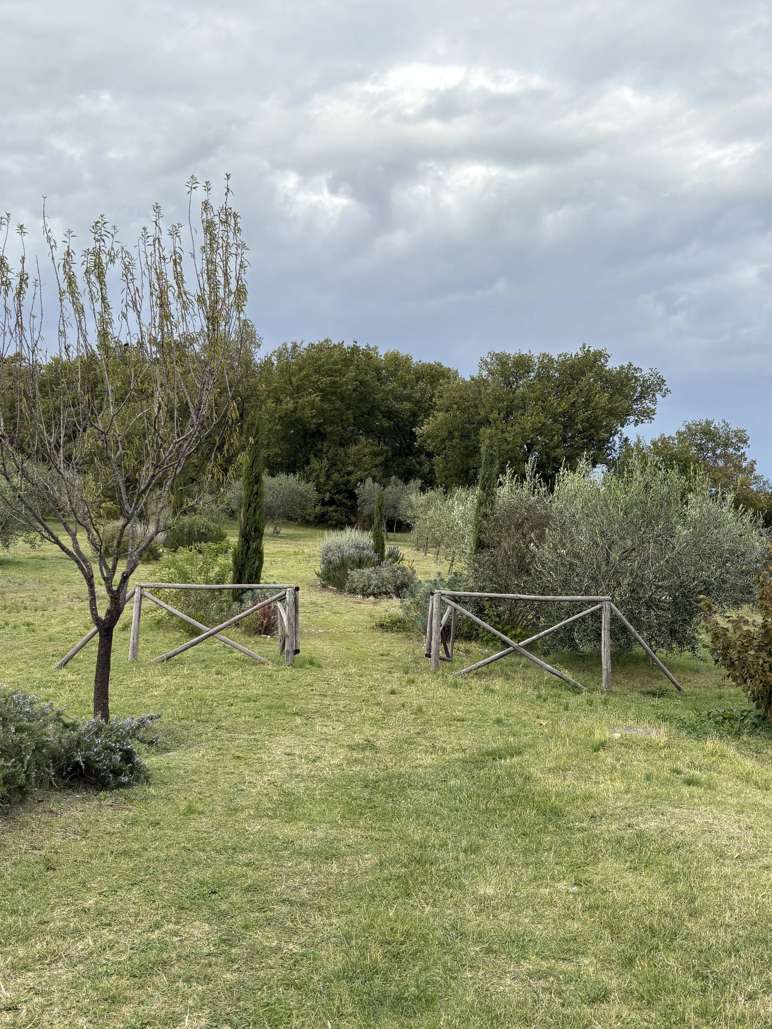A landscaped garden with a grassy pathway, young trees, and shrubs under a partly cloudy sky.