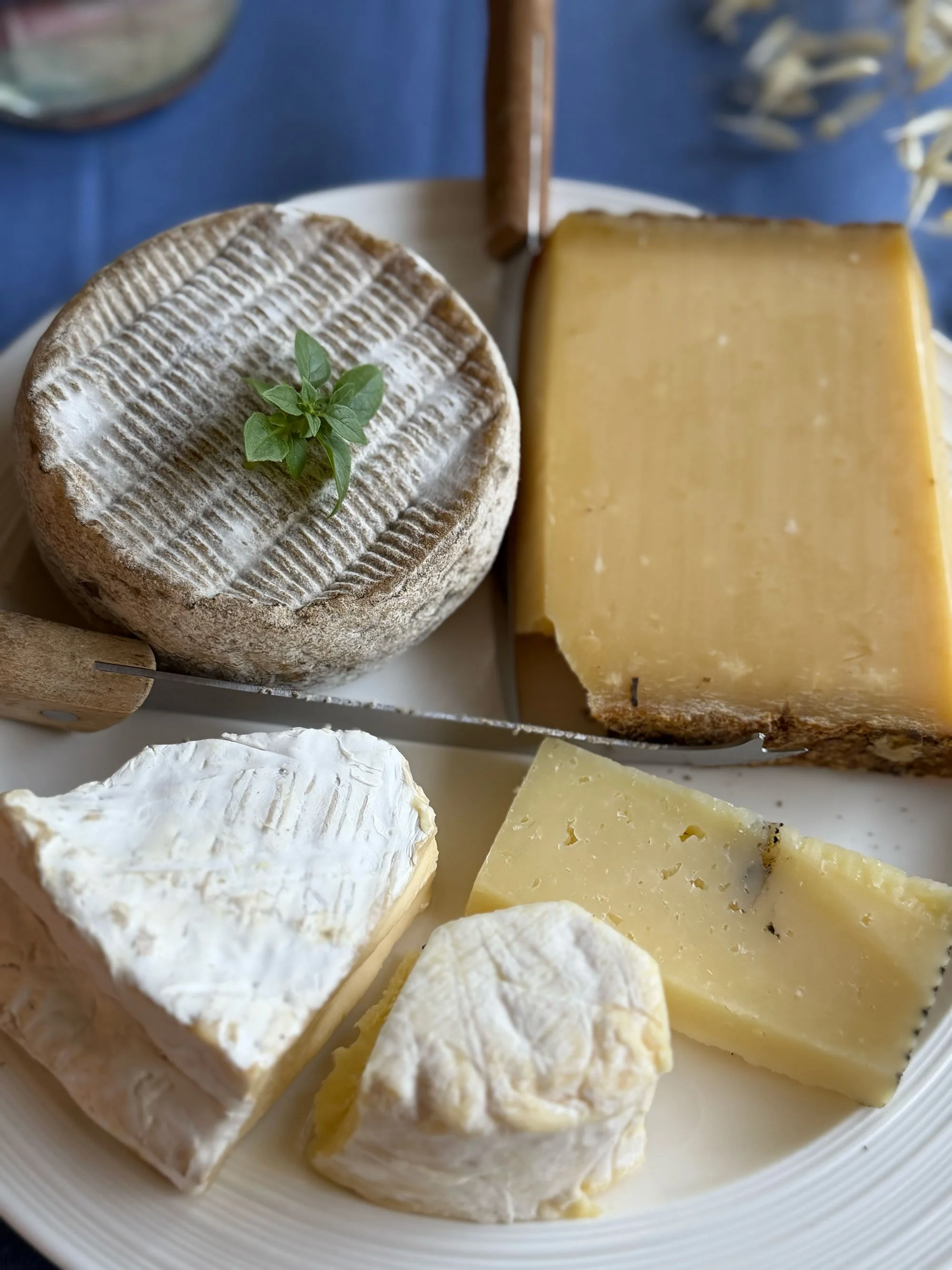 Assorted cheeses on a white plate, including brie with a sprinkle of flour and a basil leaf, a hard yellow cheese, and a knife.