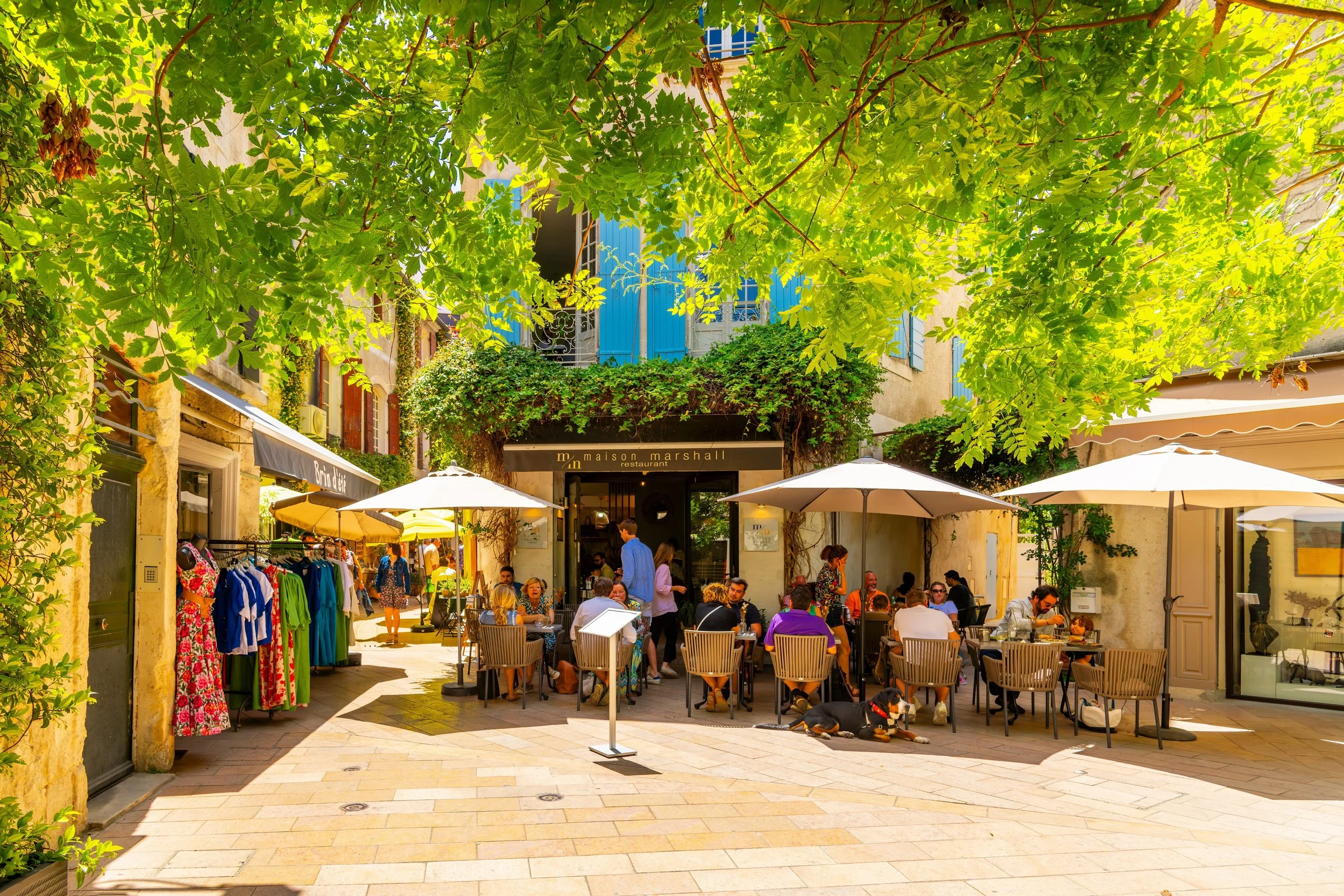 Outdoor dining area at a restaurant with people sitting under umbrellas, surrounded by buildings and lush green trees.