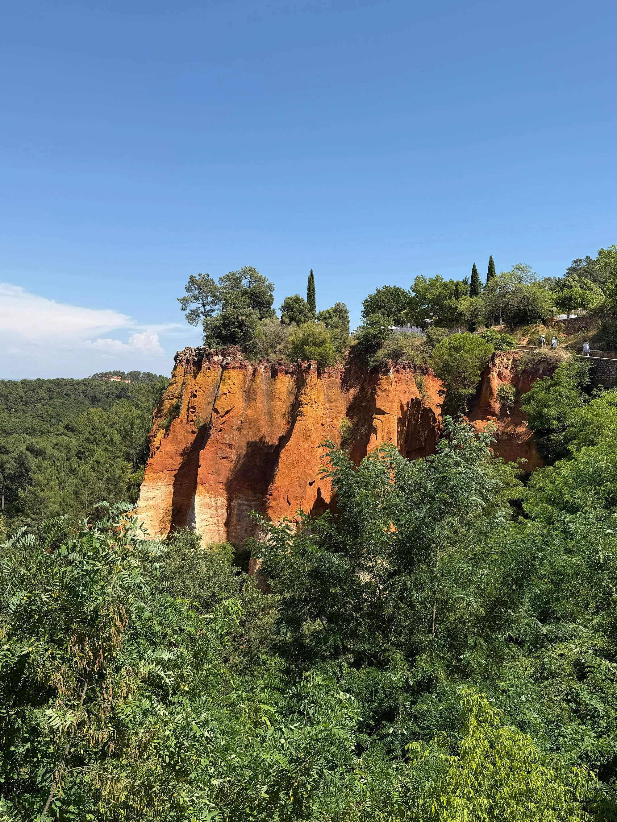 A landscape scene with red rock cliffs surrounded by lush green trees and bushes, under a clear blue sky.