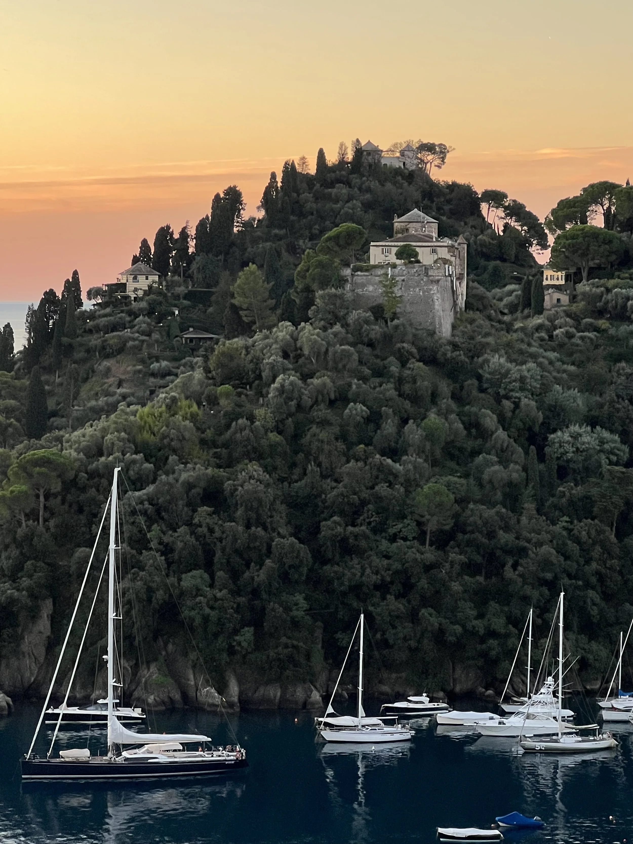 Sailboats moored in a harbor at sunset with a hill covered in trees and houses in the background.