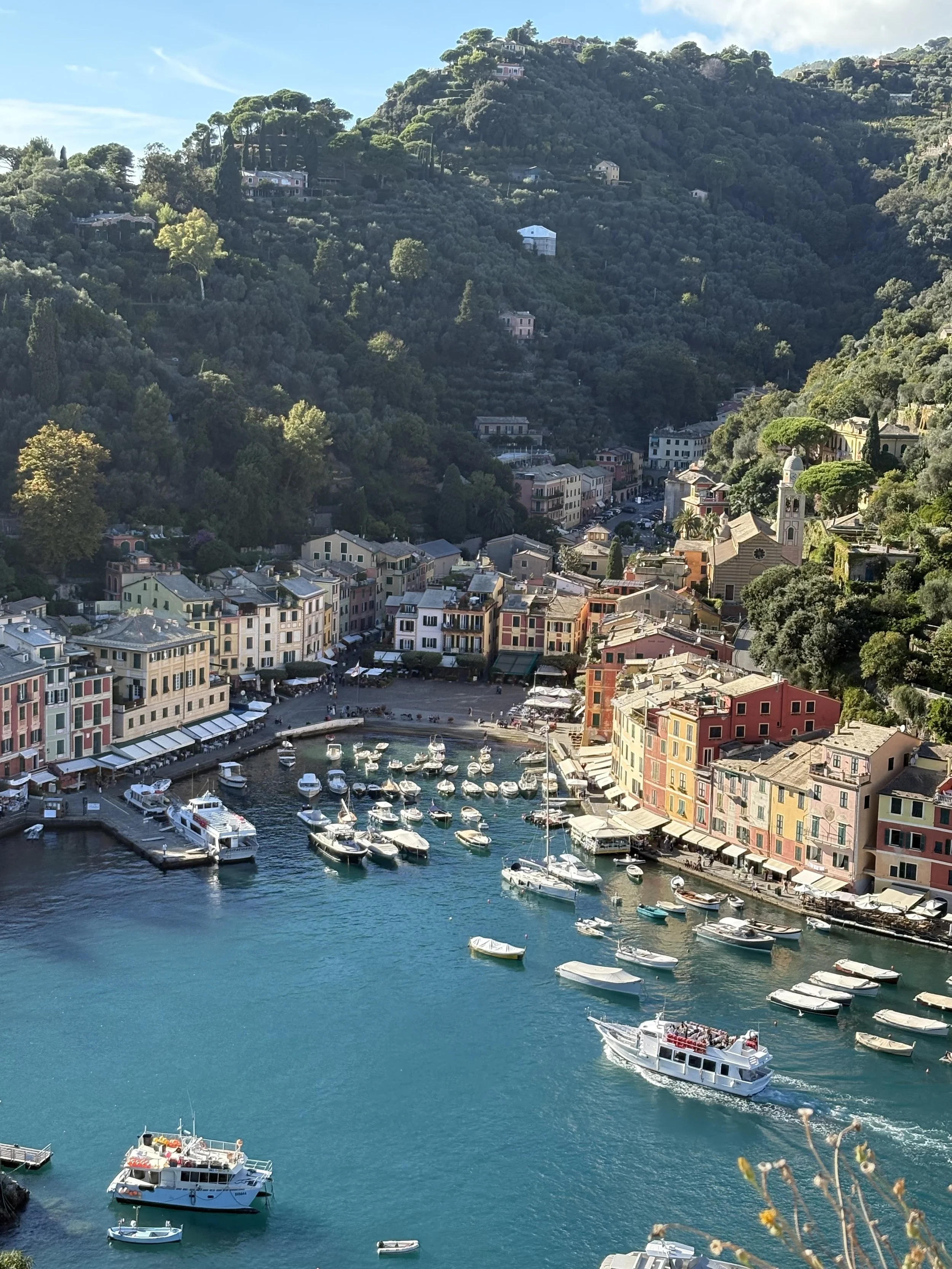 Colorful buildings lining a harbor filled with boats, with lush green hills in the background under a blue sky.