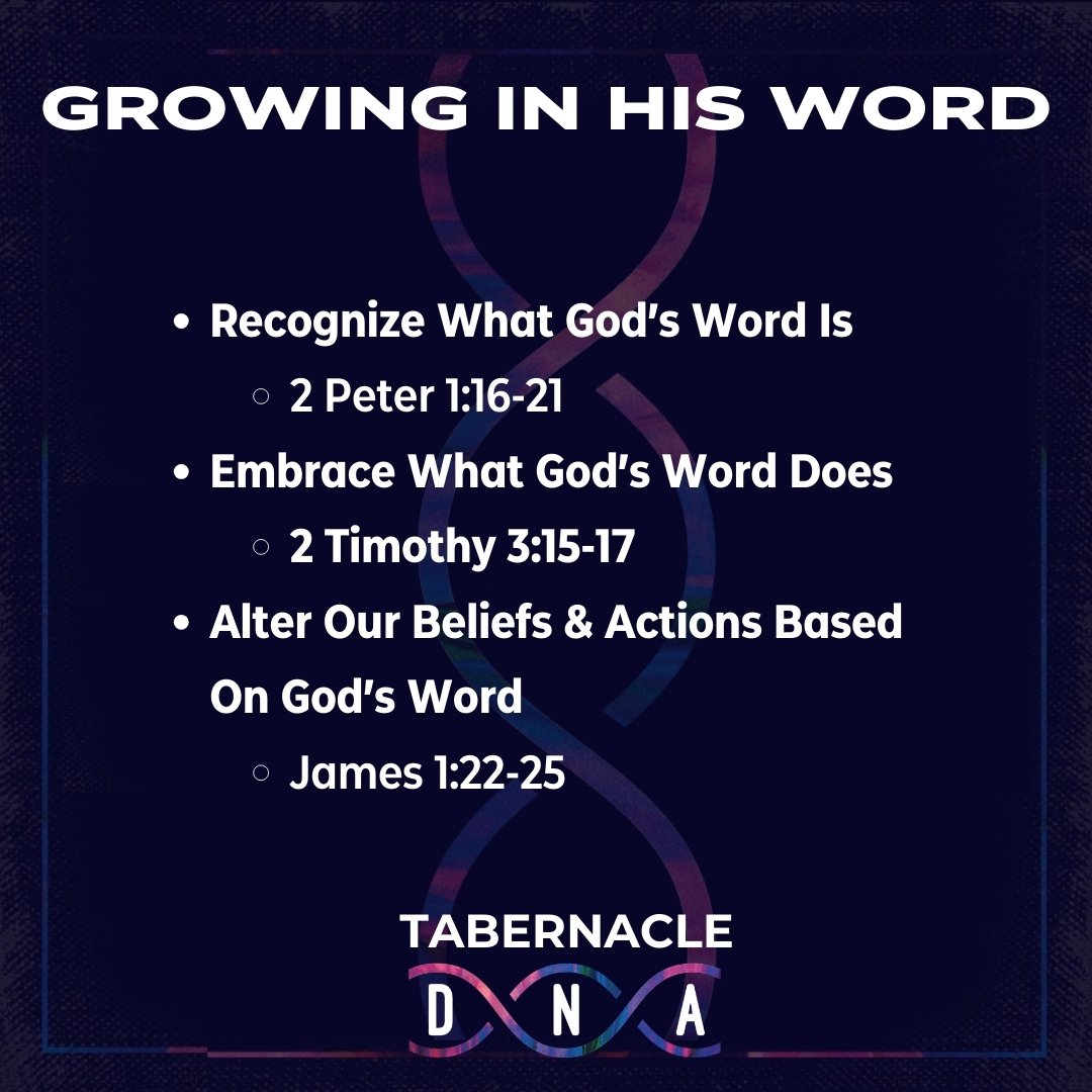 We're slowly adding to our Tabernacle DNA, and this Sunday we'll look at growing in God's Word as one of the most essential parts of our existence!

Listen to or watch any of our previous sermons at www.tbcessex.com/sermons