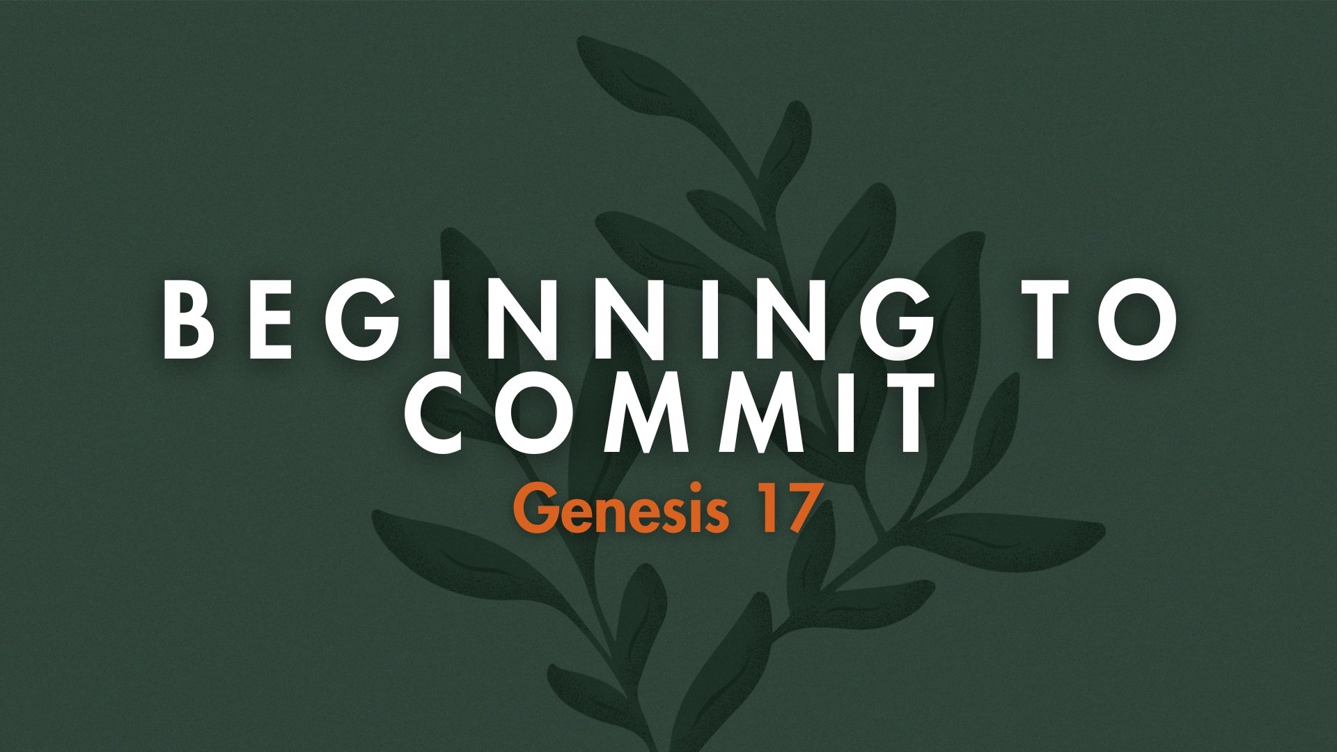Genesis 17 - Beginning To Commit