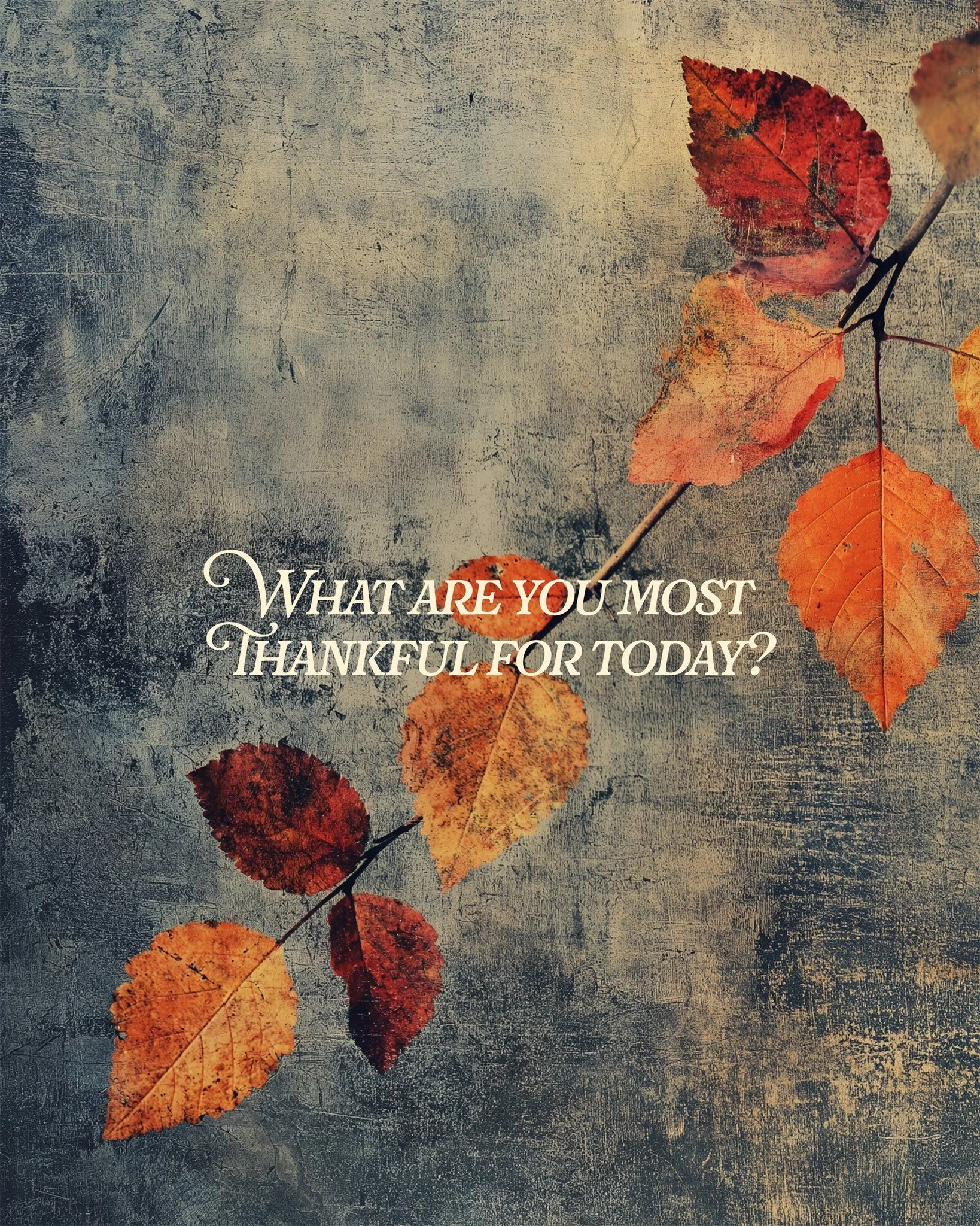 Set your heart up in a posture of gratitude today. Let us know in the comments what you are thankful for this week!