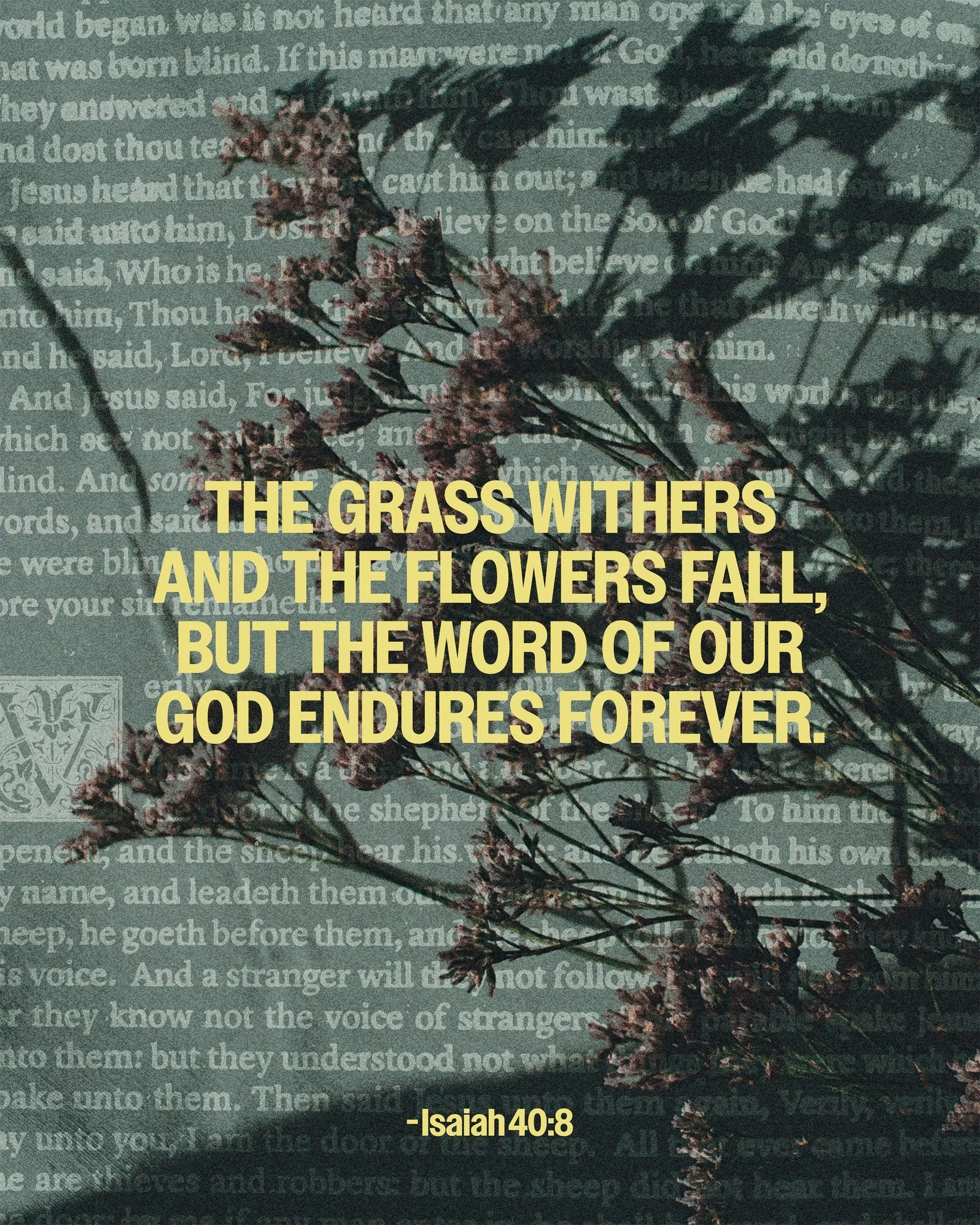 This Saturday at 11:30 AM at the church, we're beginning our monthly book study for 2026 through Paul David Tripp's "Do You Believe" - specifically looking at chapters 1-2 on the Doctrine of Scripture and what it looks like for us every day