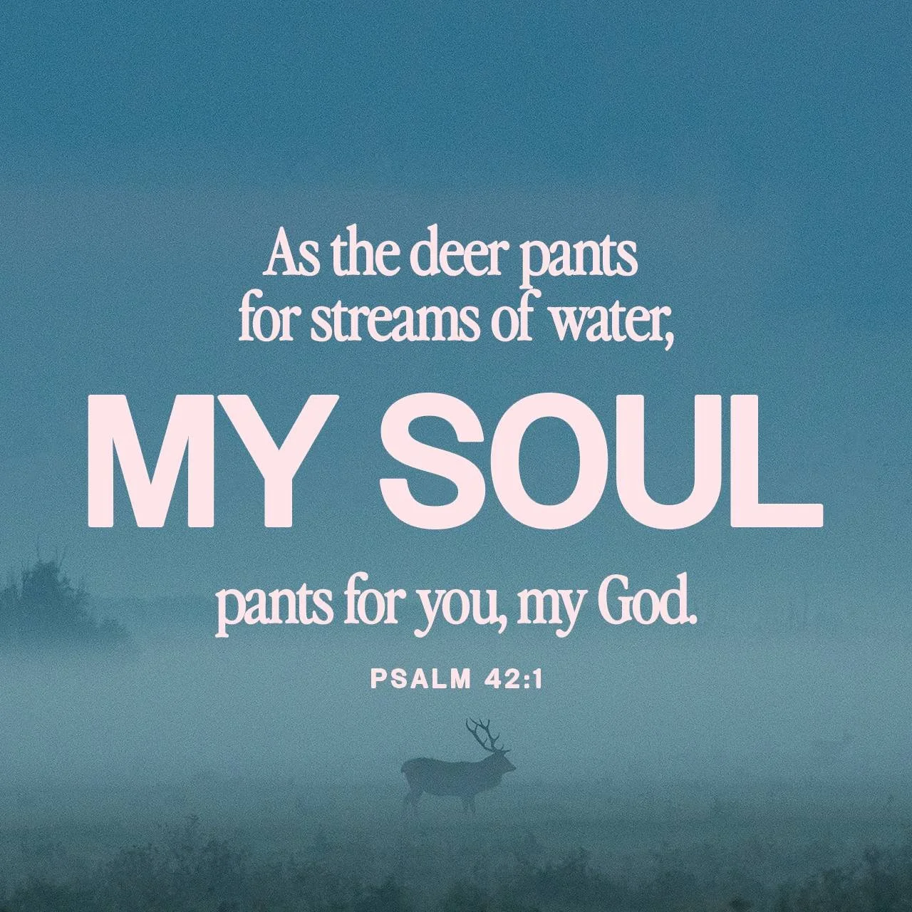 There are moments in life when we are desperate for God's presence and intervention, and in those moments we're promised that He is near us.
