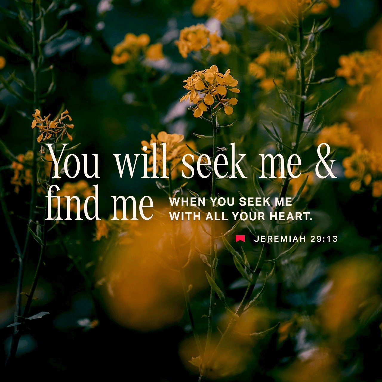 Are you pursuing God in prayer, in the Word, and through your actions today?