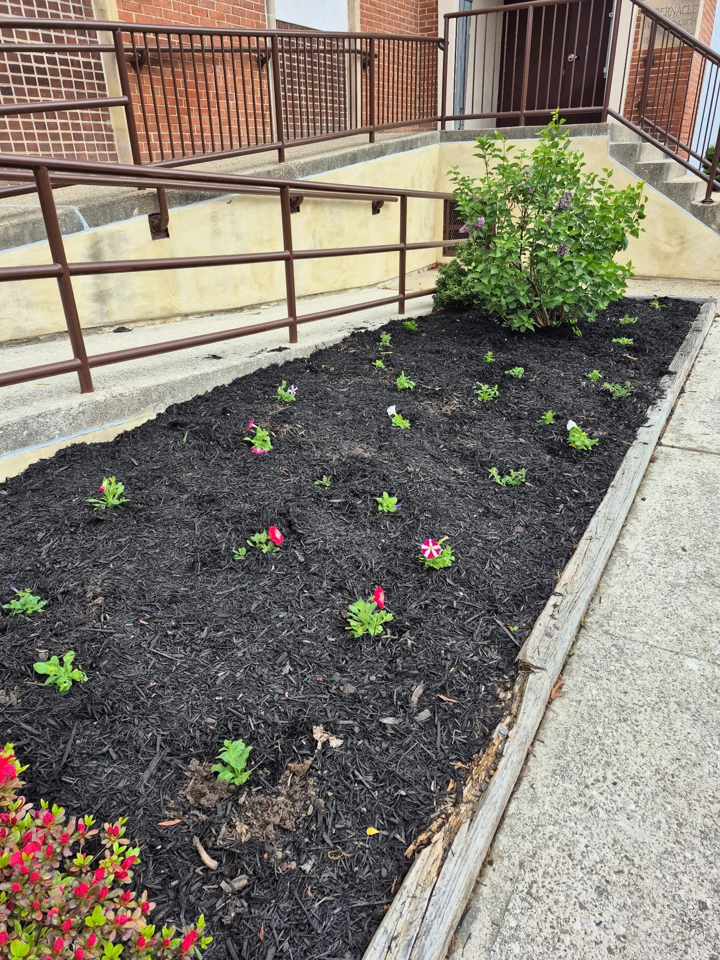 Very grateful for our local ROTC and their service project helping with our flower beds at Tabernacle!
