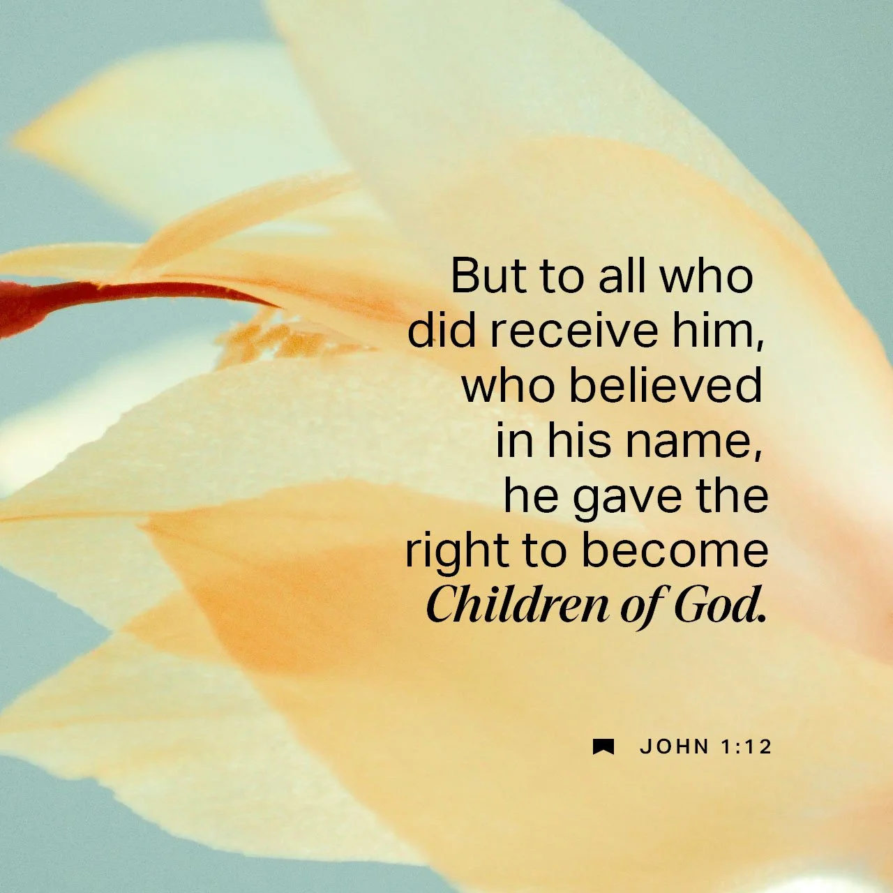 Want to become a child of God? Scripture says that to do so we must believe in His name (His authority &amp; purpose), and receive His gift of life &amp; forgiveness by faith. For all those who have truly called on Christ, they are now children of Go