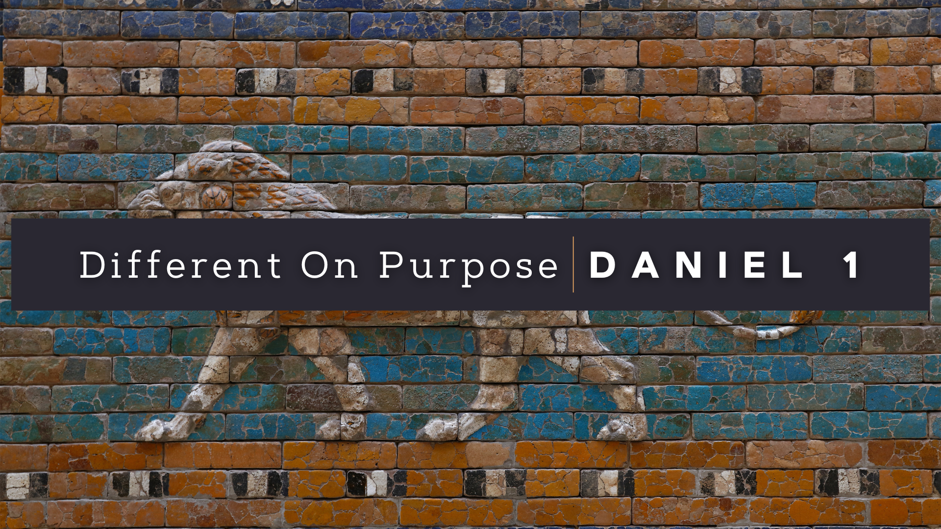 Daniel 1 - Different On Purpose