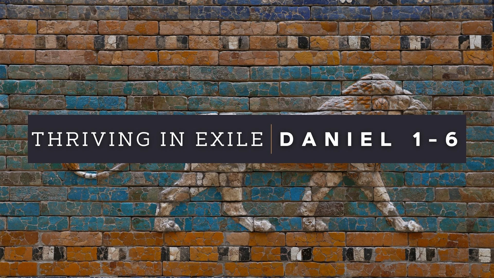 Daniel 1-6 - Thriving In Exile