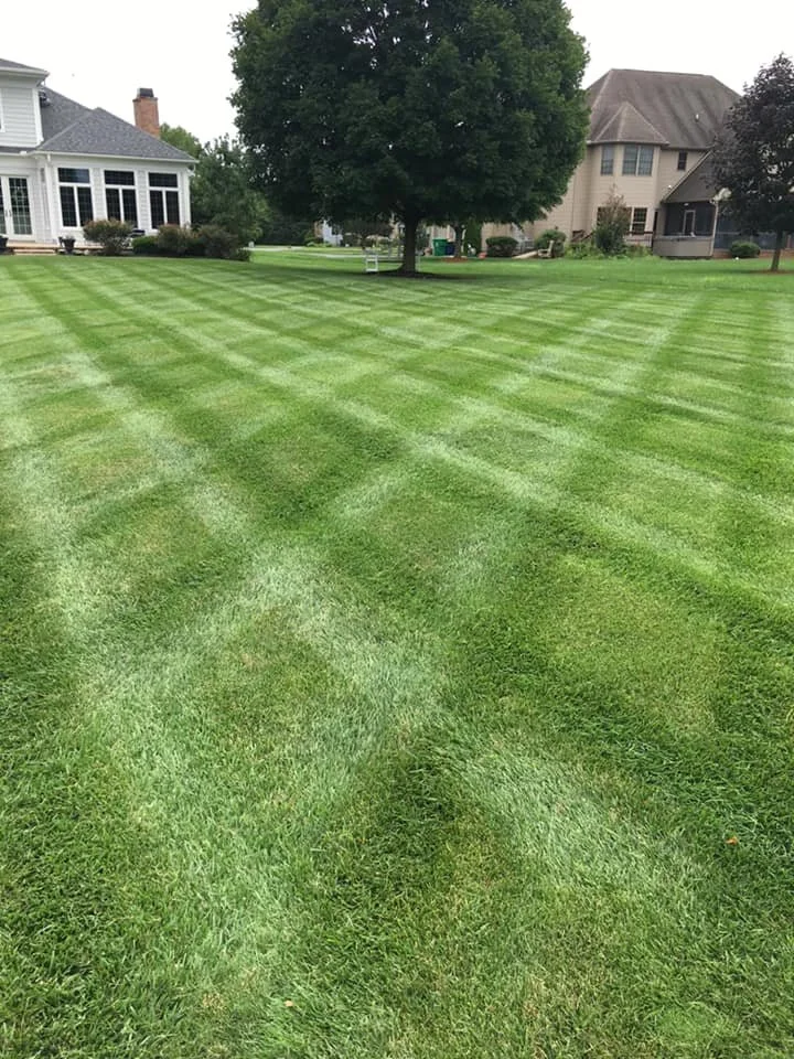 Lawn Care