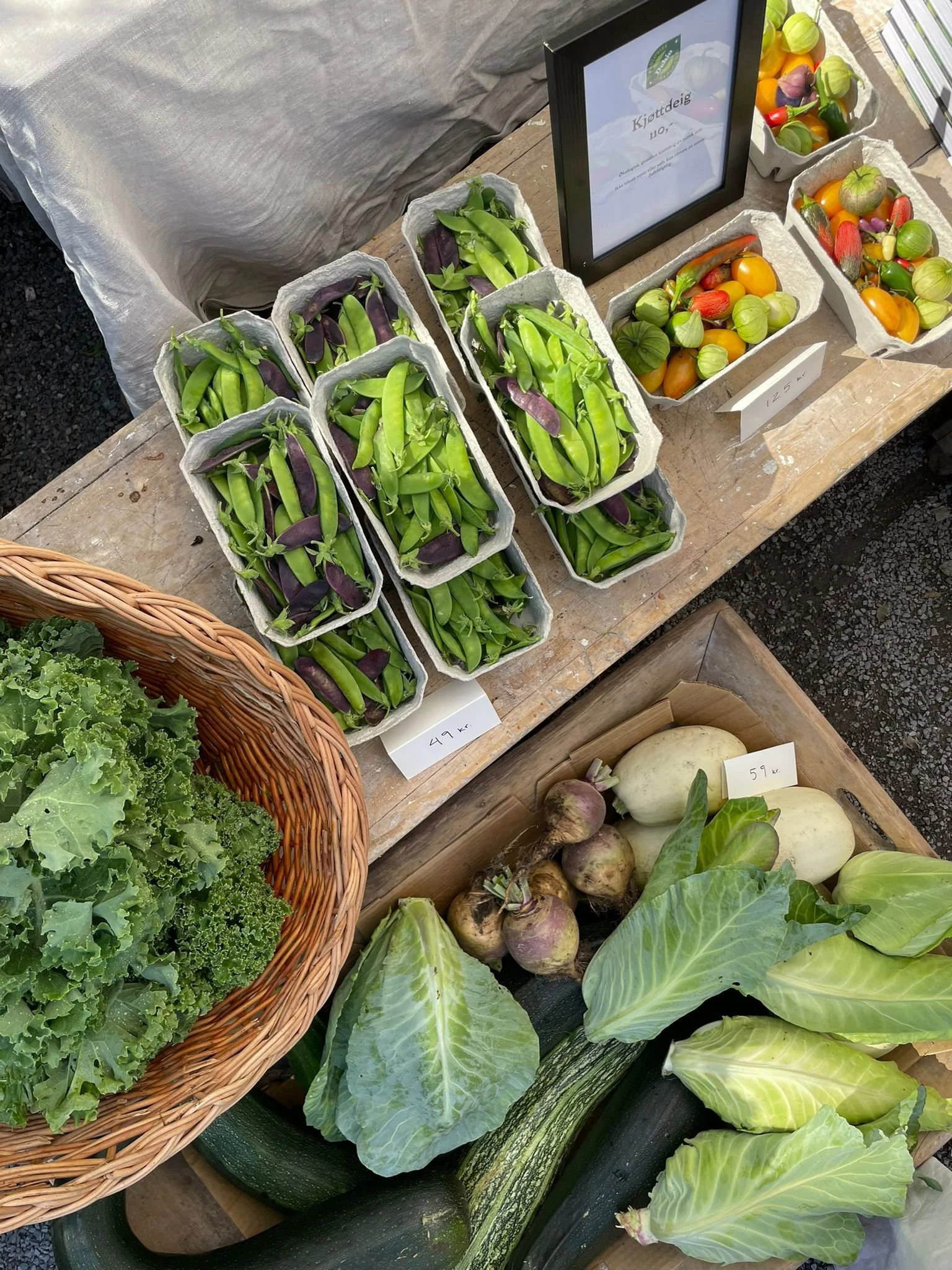 b647d70e-4612-42cb-844d-4fa671428fb4 2.jpg