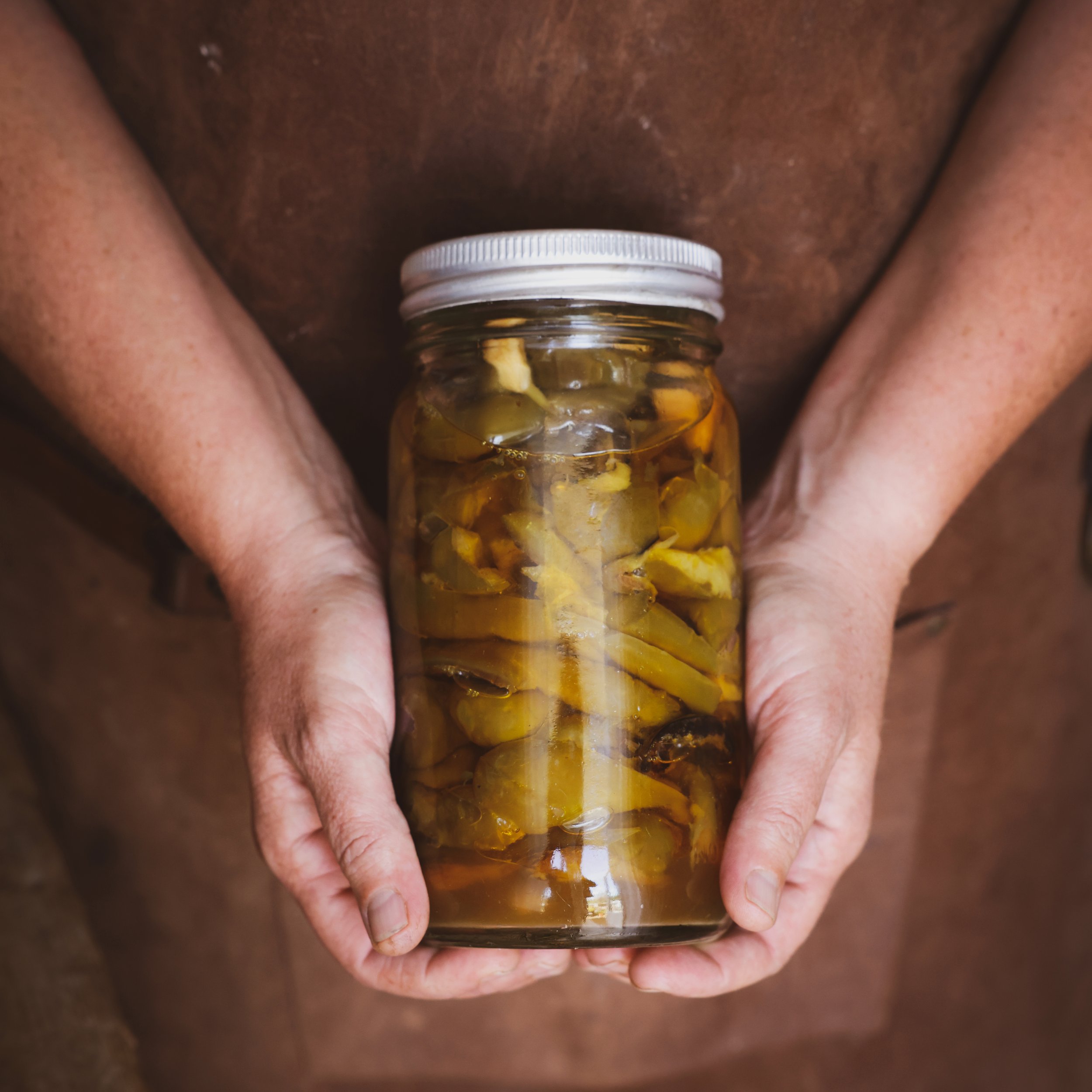Kurs i fermentering