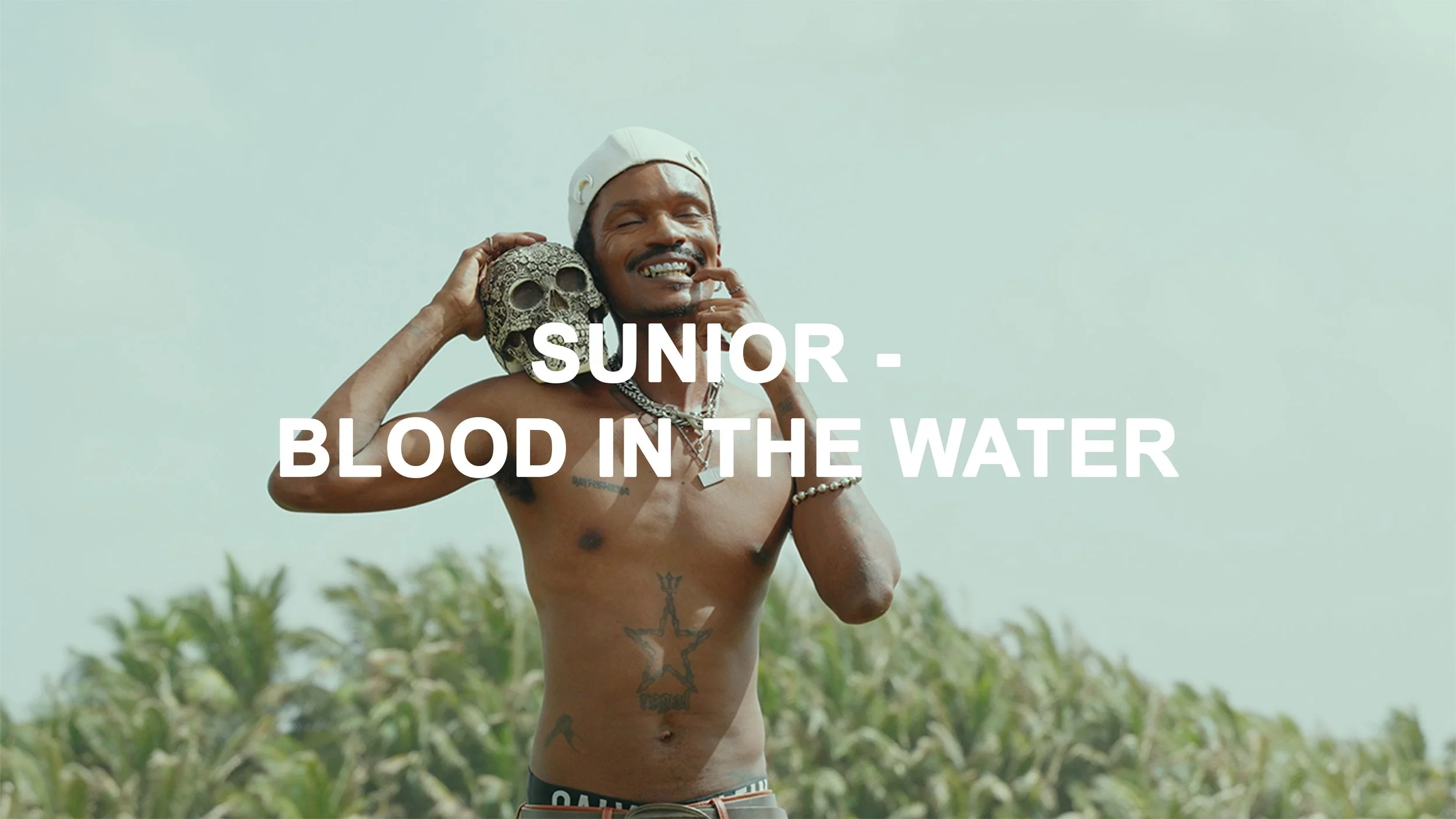 Junior Sealy - Blood in the water