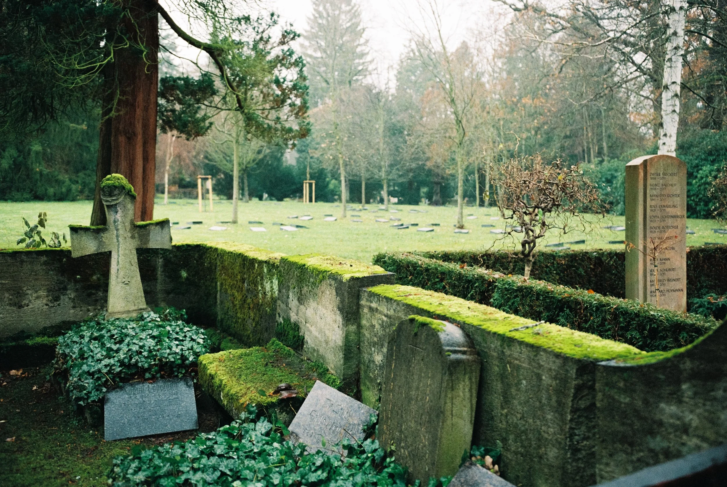 Friedhof, städtischer Friedhof Chemnitz, Bestattung, Trauer, Loslassen, Tod, Sterben, Leben, Grabstein