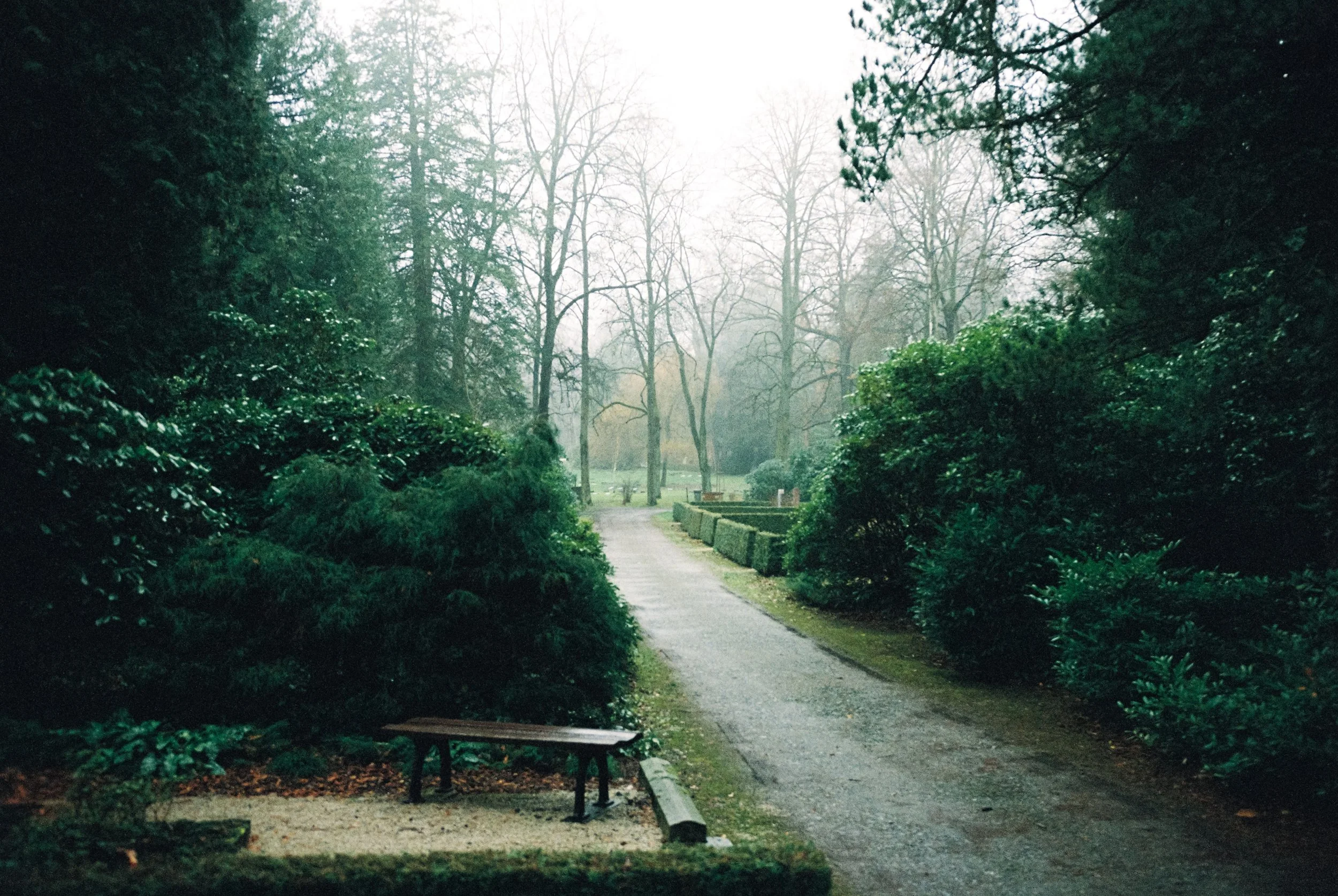 Friedhof, städtischer Friedhof Chemnitz, Bestattung, Trauer, Loslassen, Tod, Sterben, Leben, Grabstein