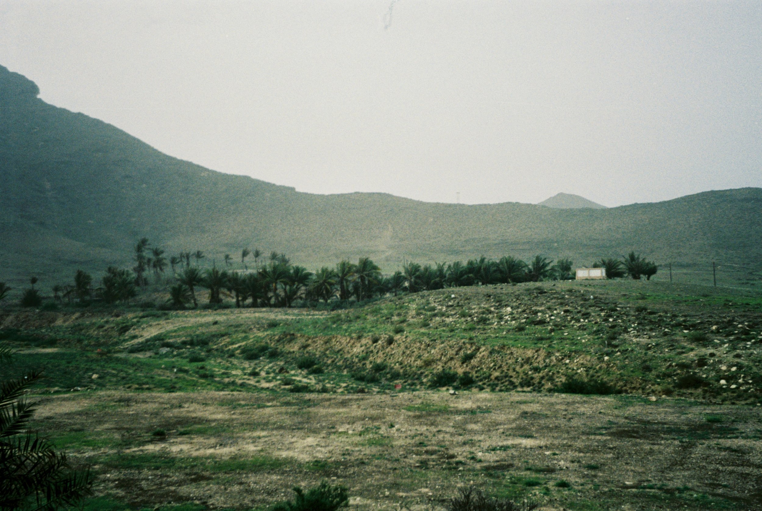 IMG_9899.jpg