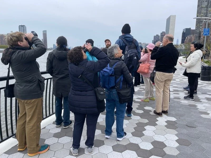 Free Bird Walk with EsplanadeFriends and NYC Bird Alliance
