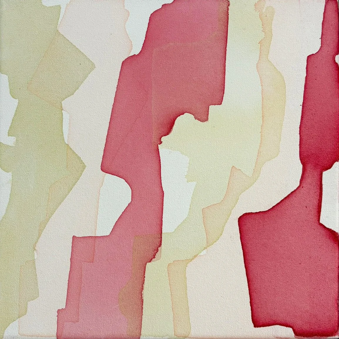 'Behind The Fence' - 30 x 30 cm / 12×12 in