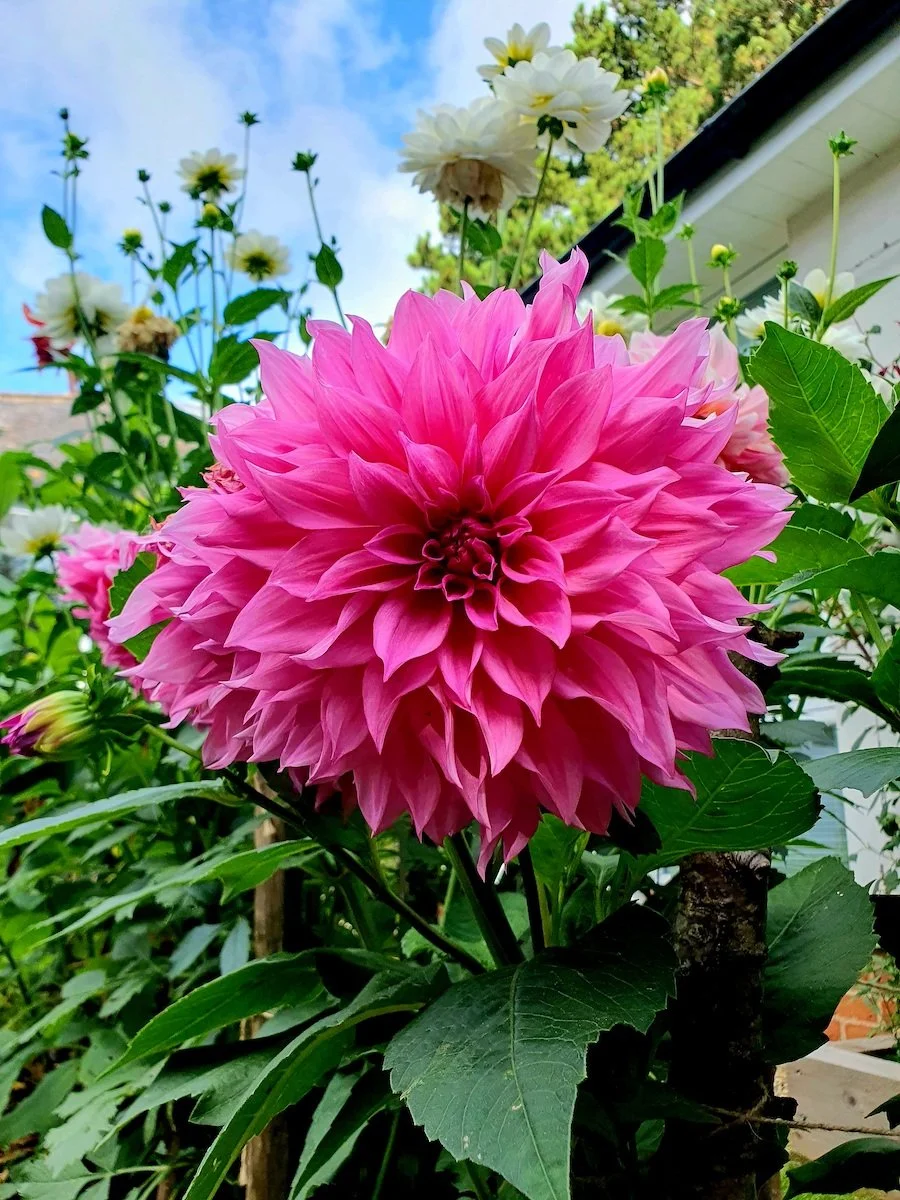 20230822_093616.jpg