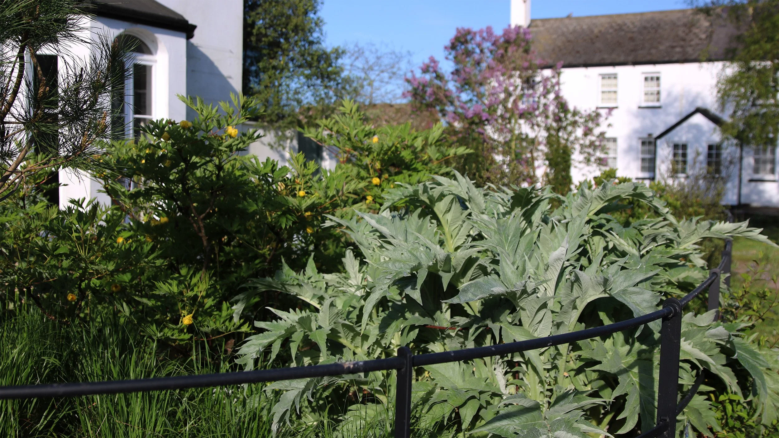 Sqaure railingsIMG_4168.jpg