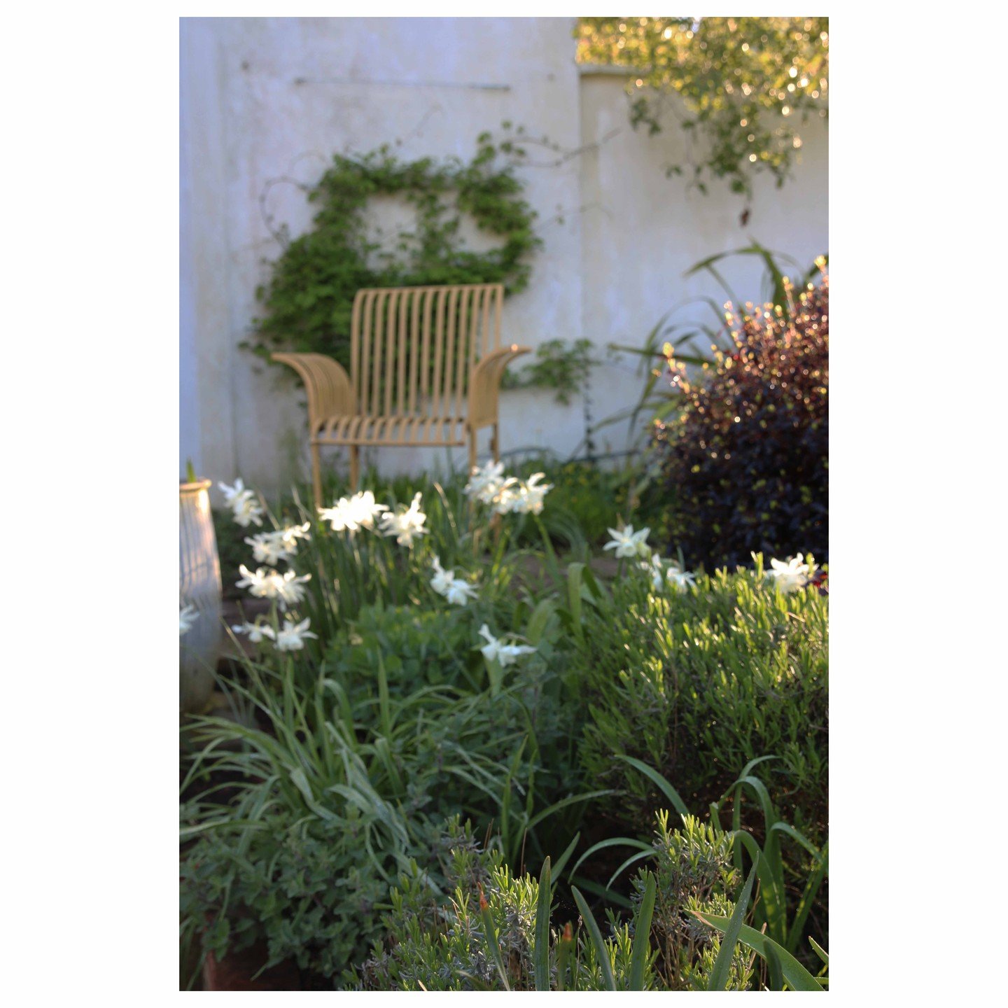 A place to unwind &ndash; This front garden in East Sussex forms part of a garden that wraps around the house. We created different spaces to encourage people out to enjoy at different times of day and enjoy the planting throughout the year. #Frontga