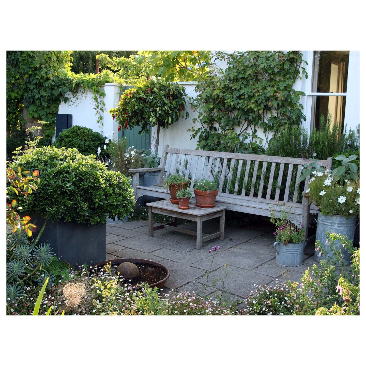 A sense of enclosure &ndash; In this front garden at one of our Sussex projects an existing terrace felt very exposed. Feature planters with Pittosporum and small standard trees combined with reclaimed zinc planters for seasonal planting and an outsi