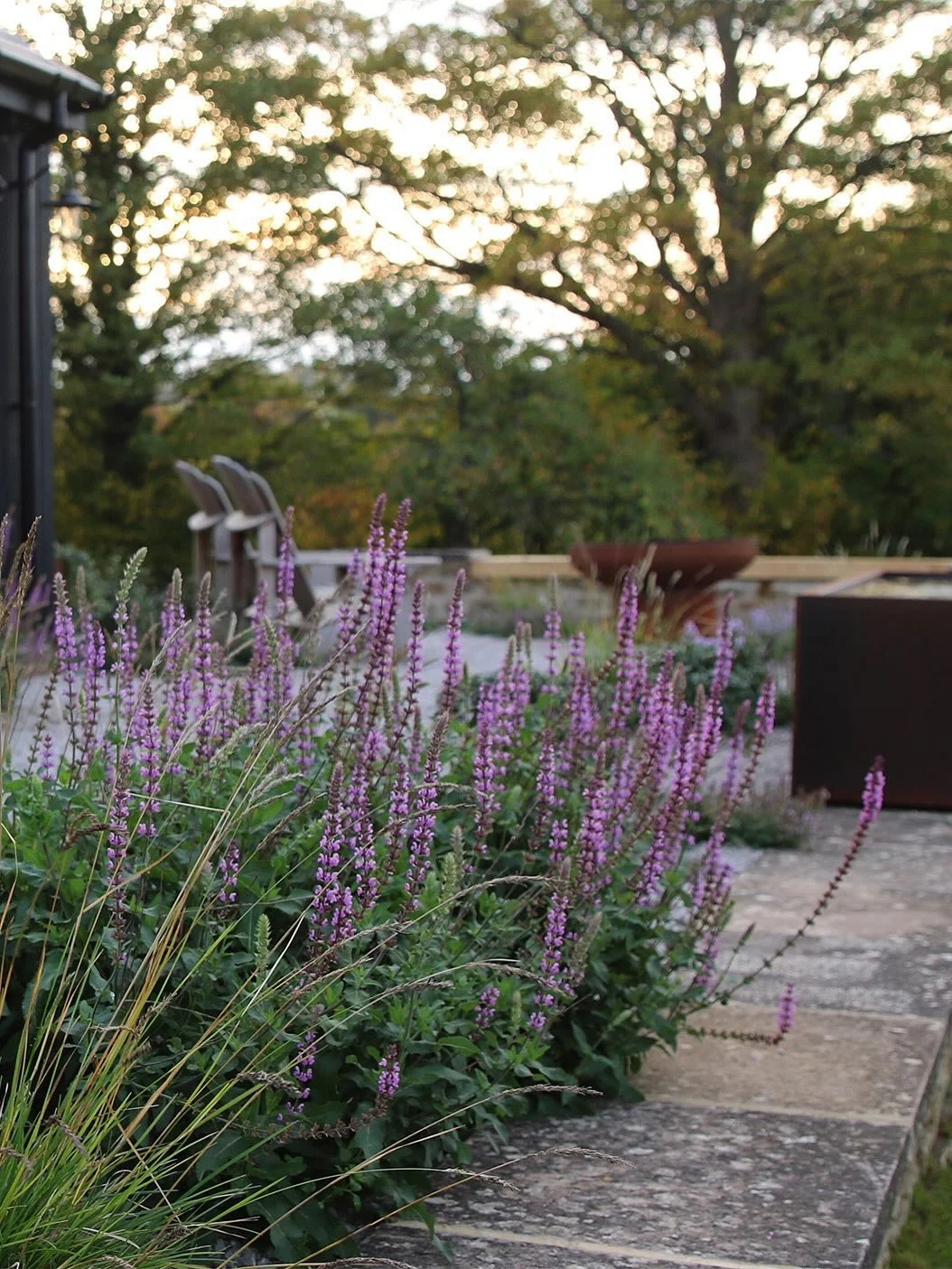 Naturalistic planting &ndash; Following on from my last post I realise I didn&rsquo;t really show the borders that have taken on their autumn colours! The naturalistic planting of these borders will bleach and the beech hedging will go copper with se