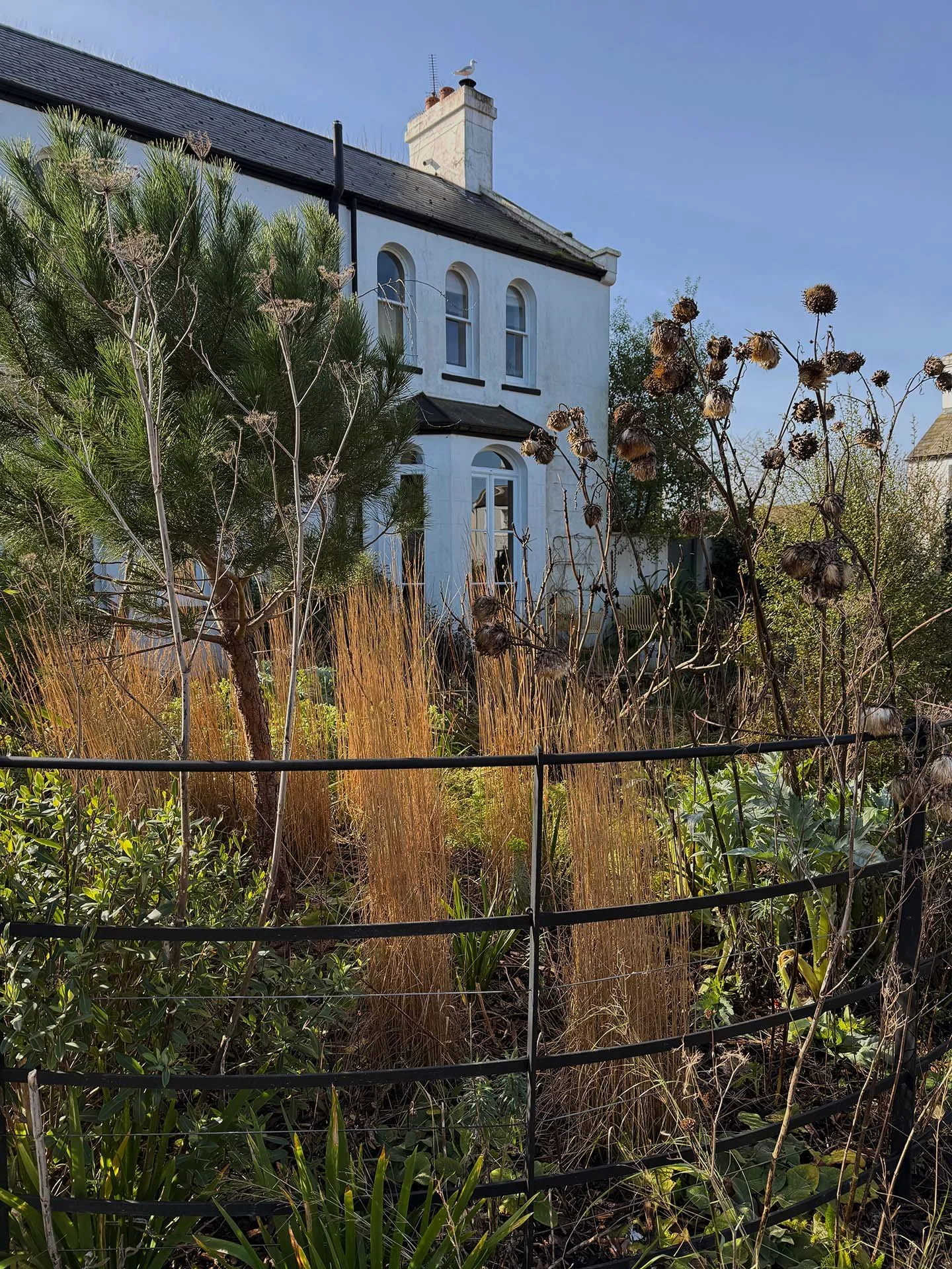 Grass matrix planting - The Spring grasses cutback….