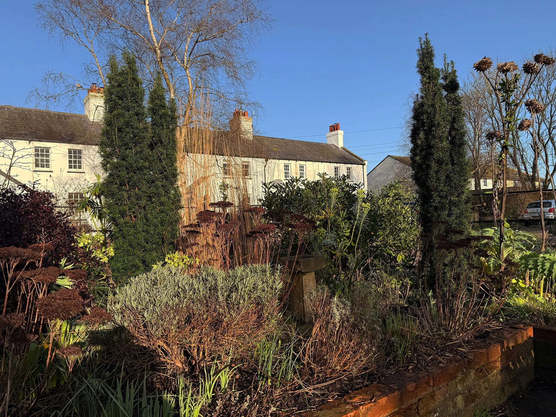 Cutting back in stages…