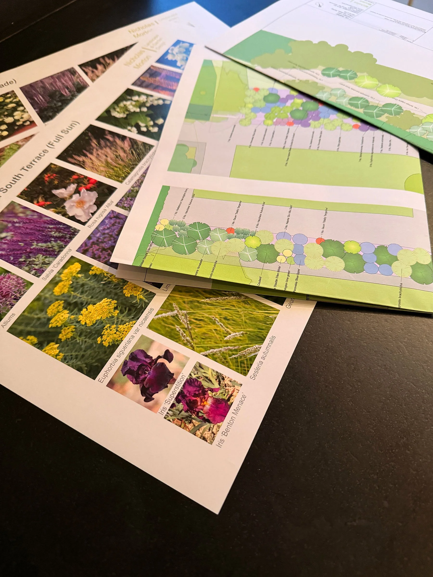 Images of individual plants, combined with planting plans, allows clients to understand the planting proposals.