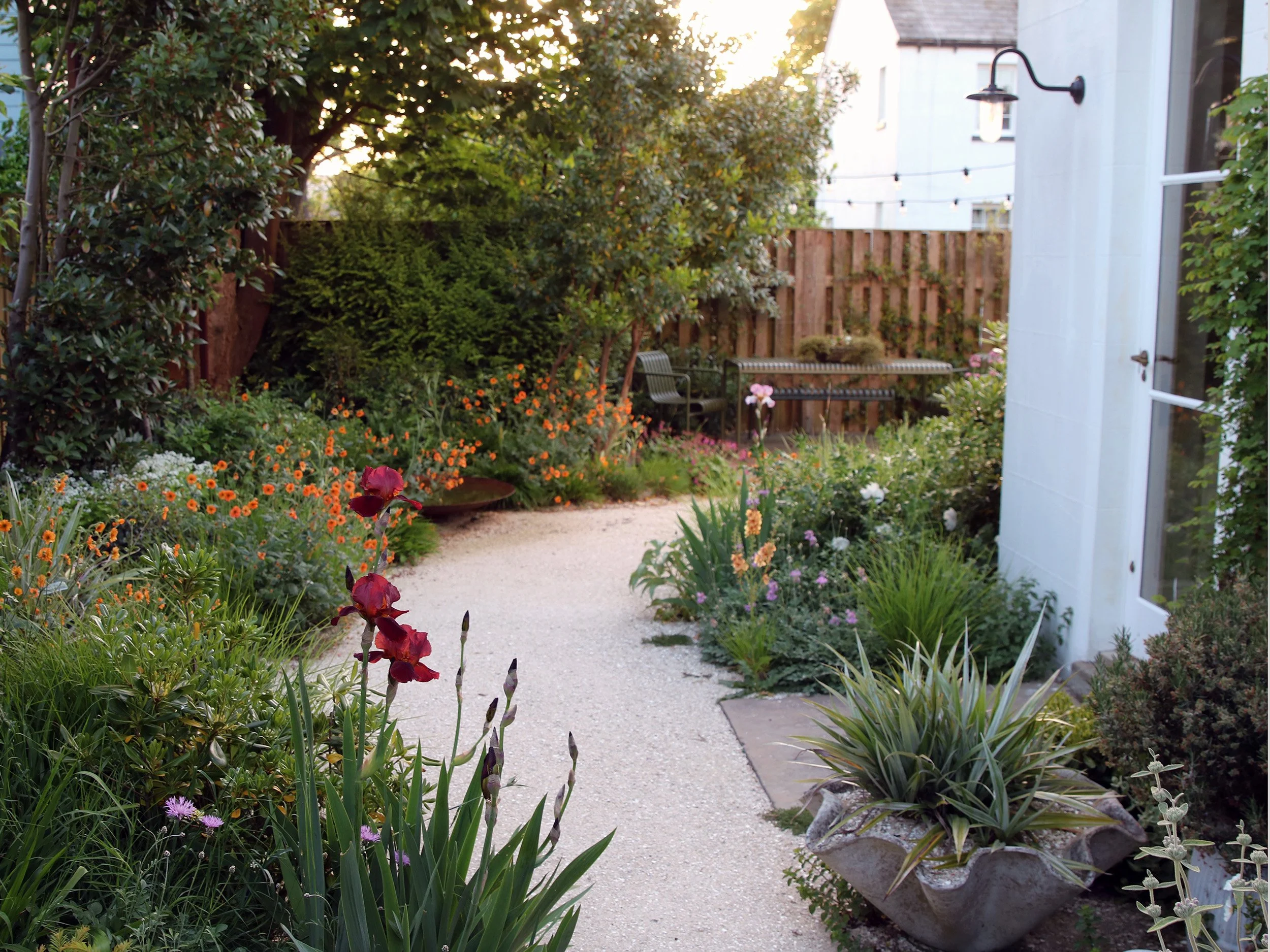 Sunset in early Spring in this town-house gravel in Rye highlights the Iris and dining area with festoon lights.