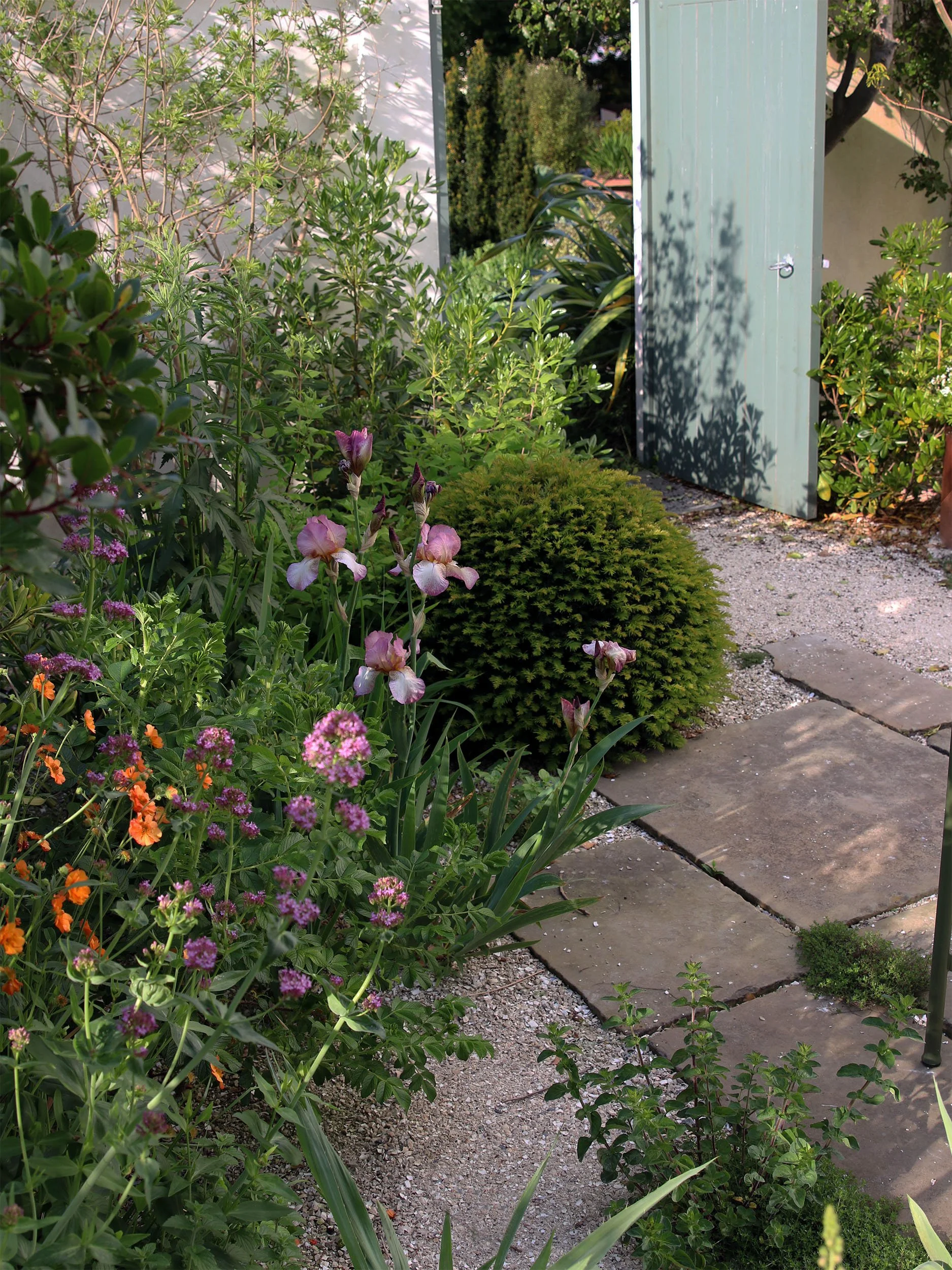 Yew domes create a formal contrast to the naturalistic gravel planting and create structure for the garden.