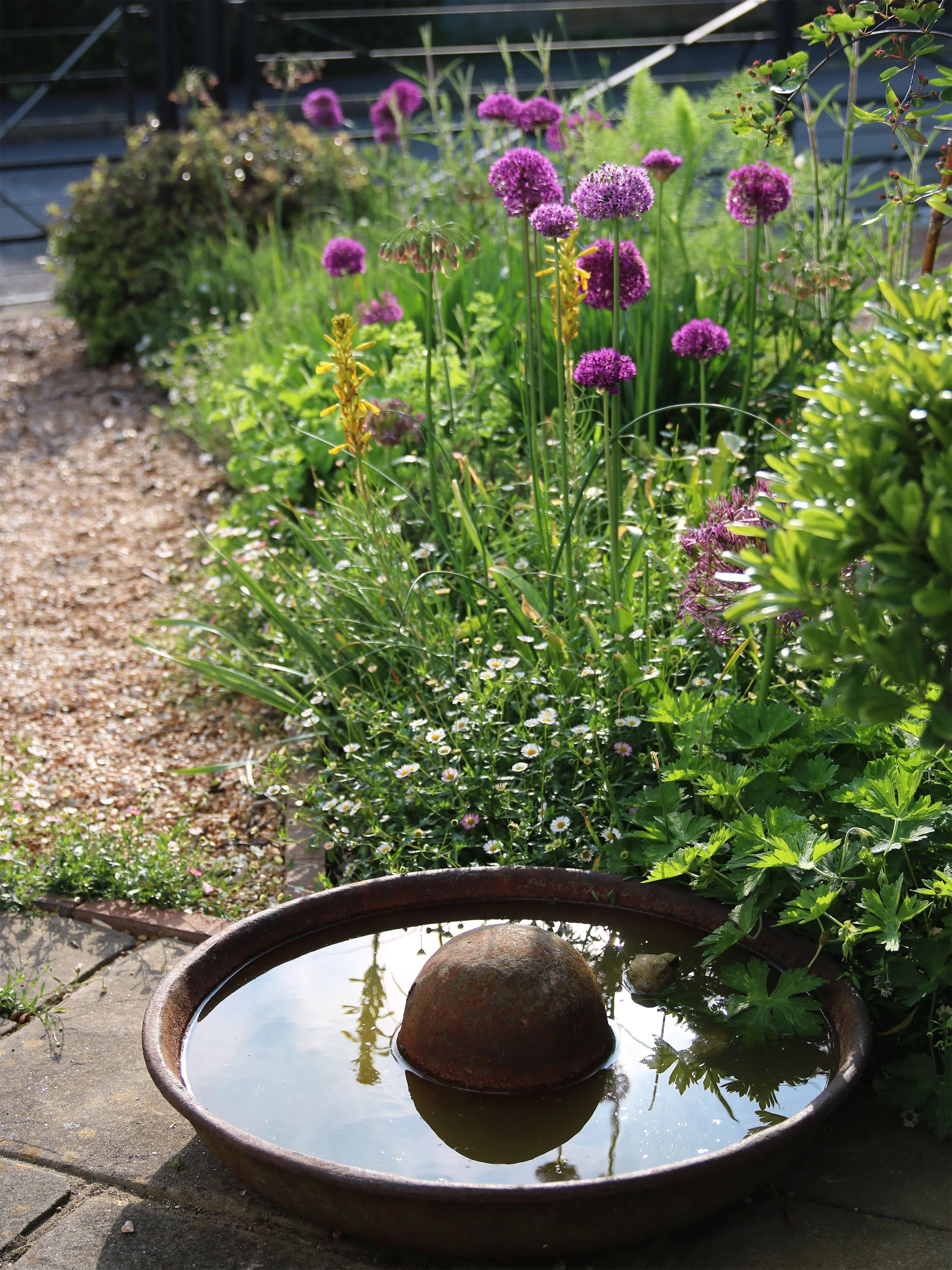 Bird BathIMG_4733.jpg