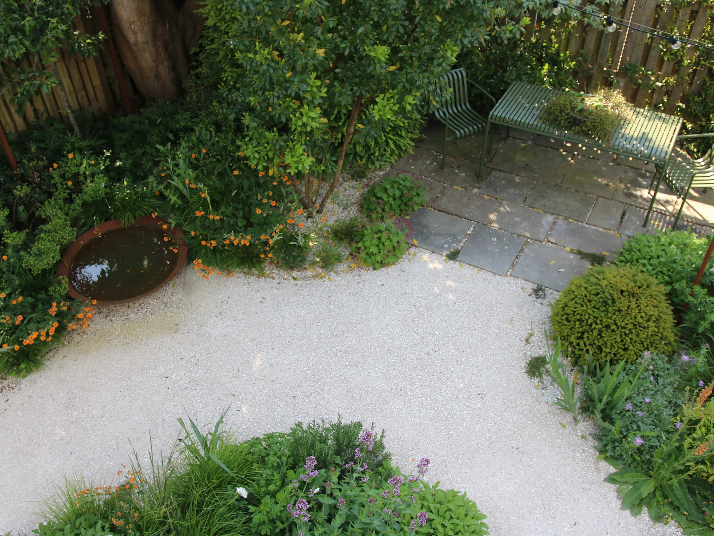 From the first floor windows the calm green planting contrasts with the shell-mix gravel creating pattern and interest.