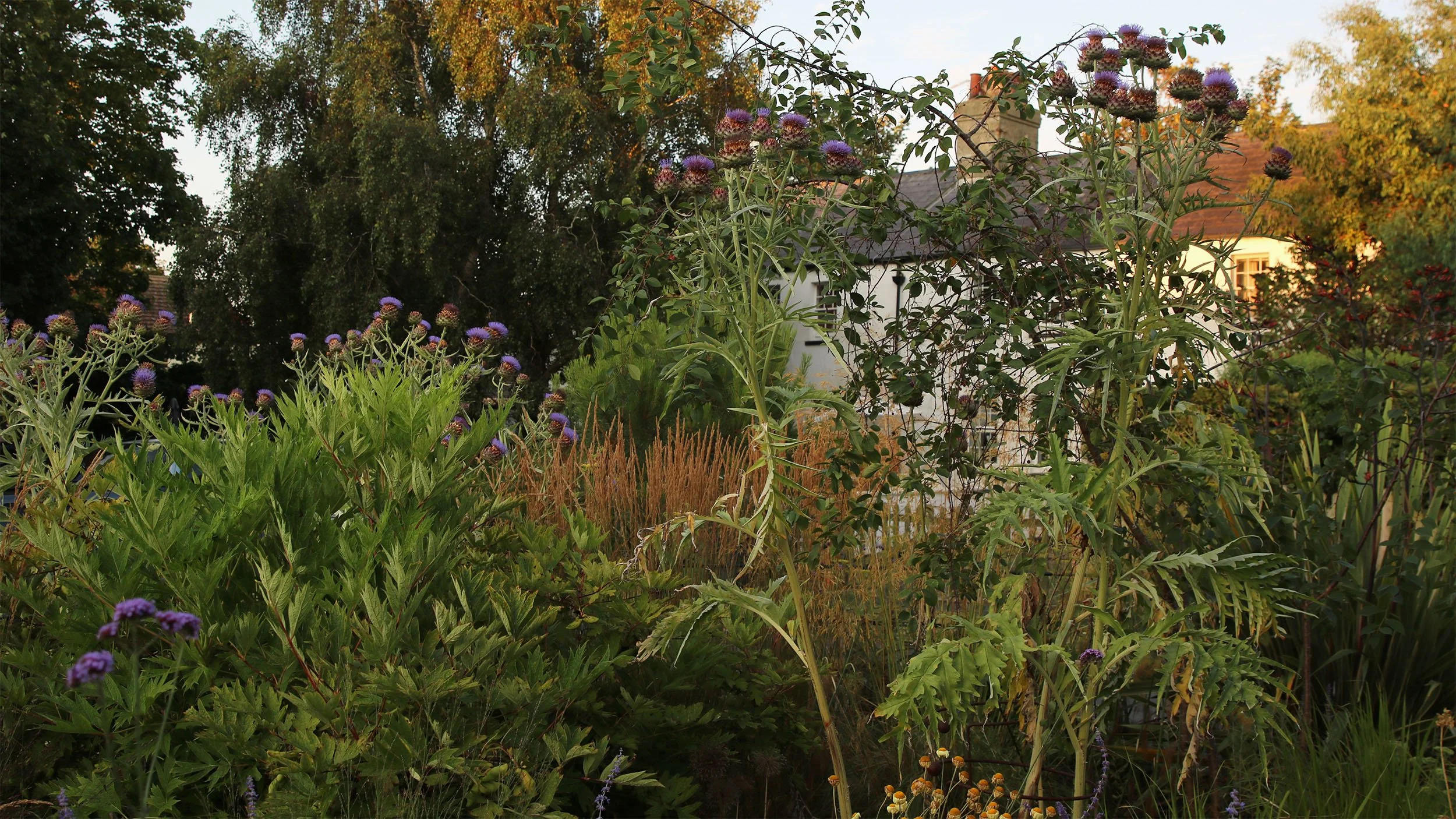 Late Summer Progression