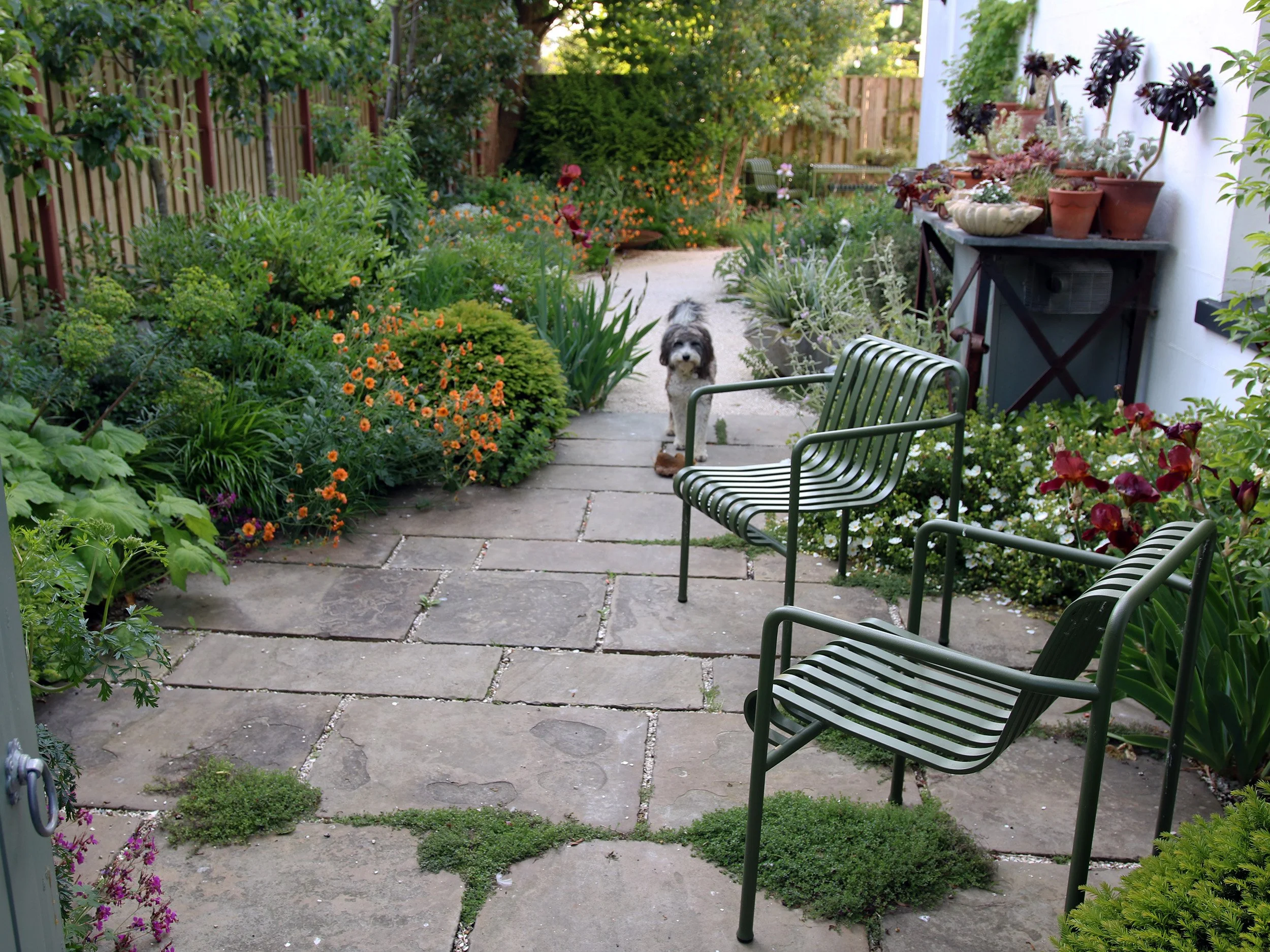 Reclaimed stone paving creates one of three flexible entertaining terraces. The flexible furniture is used as a seating area for normal use as well as forming part of the dining table set for entertaining.