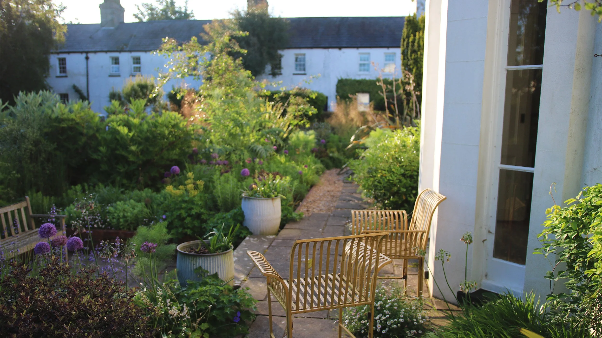 India Yellow looking toLouIMG_5799.jpg