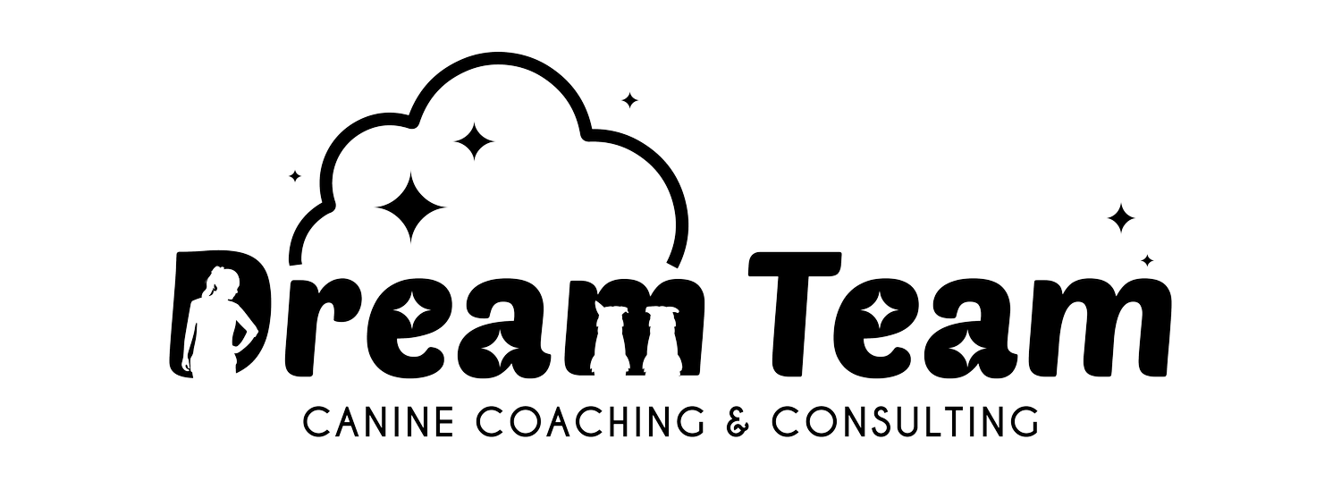 Dream Team Canine Coaching &amp; Consulting