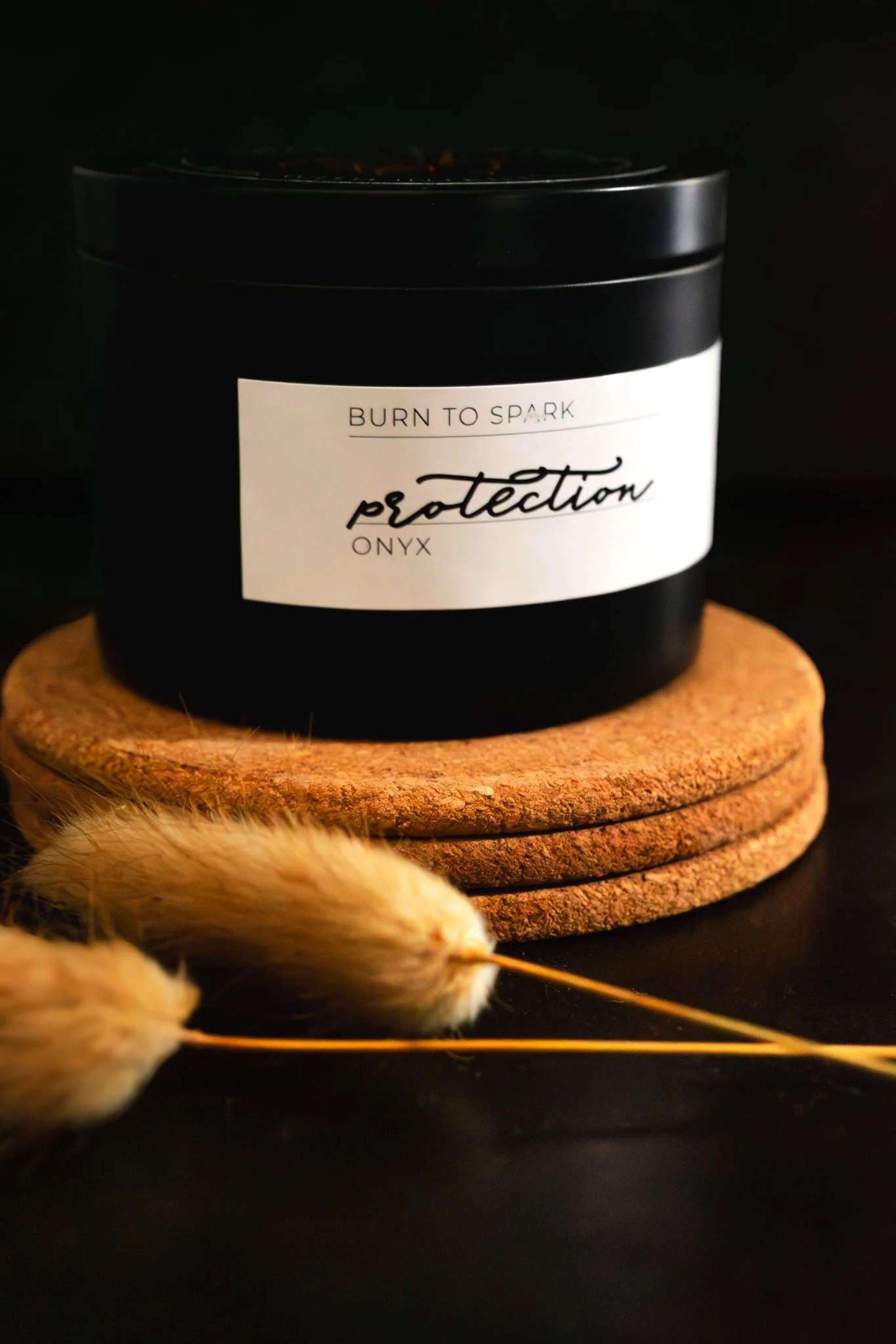 Spark and Stone 2.jpg