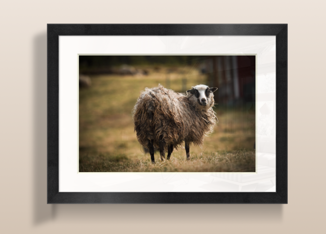 Capture d’écran 2026-03-21 à 09.33.34.png