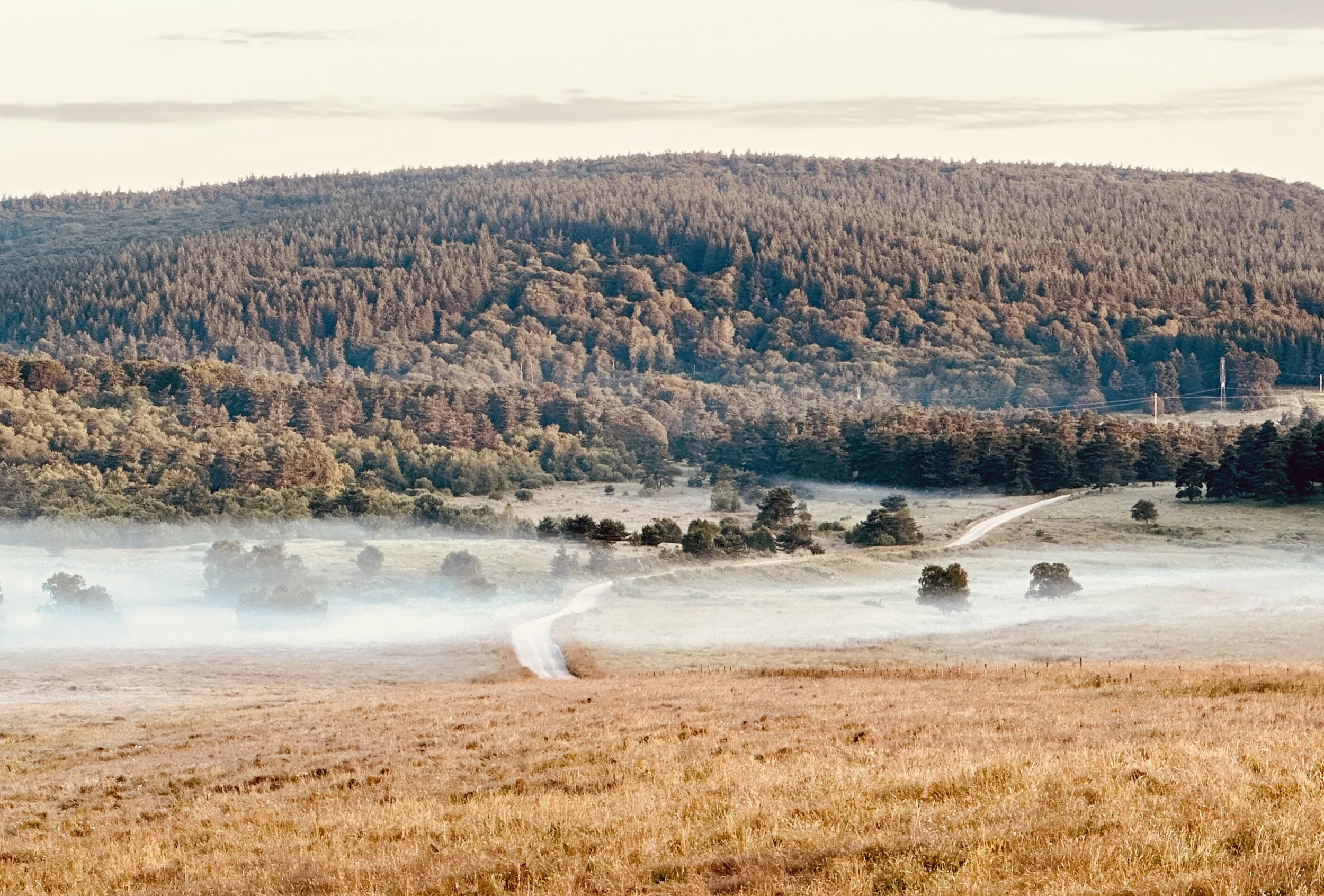 sur les chemins de St Jacques de Compostelle
